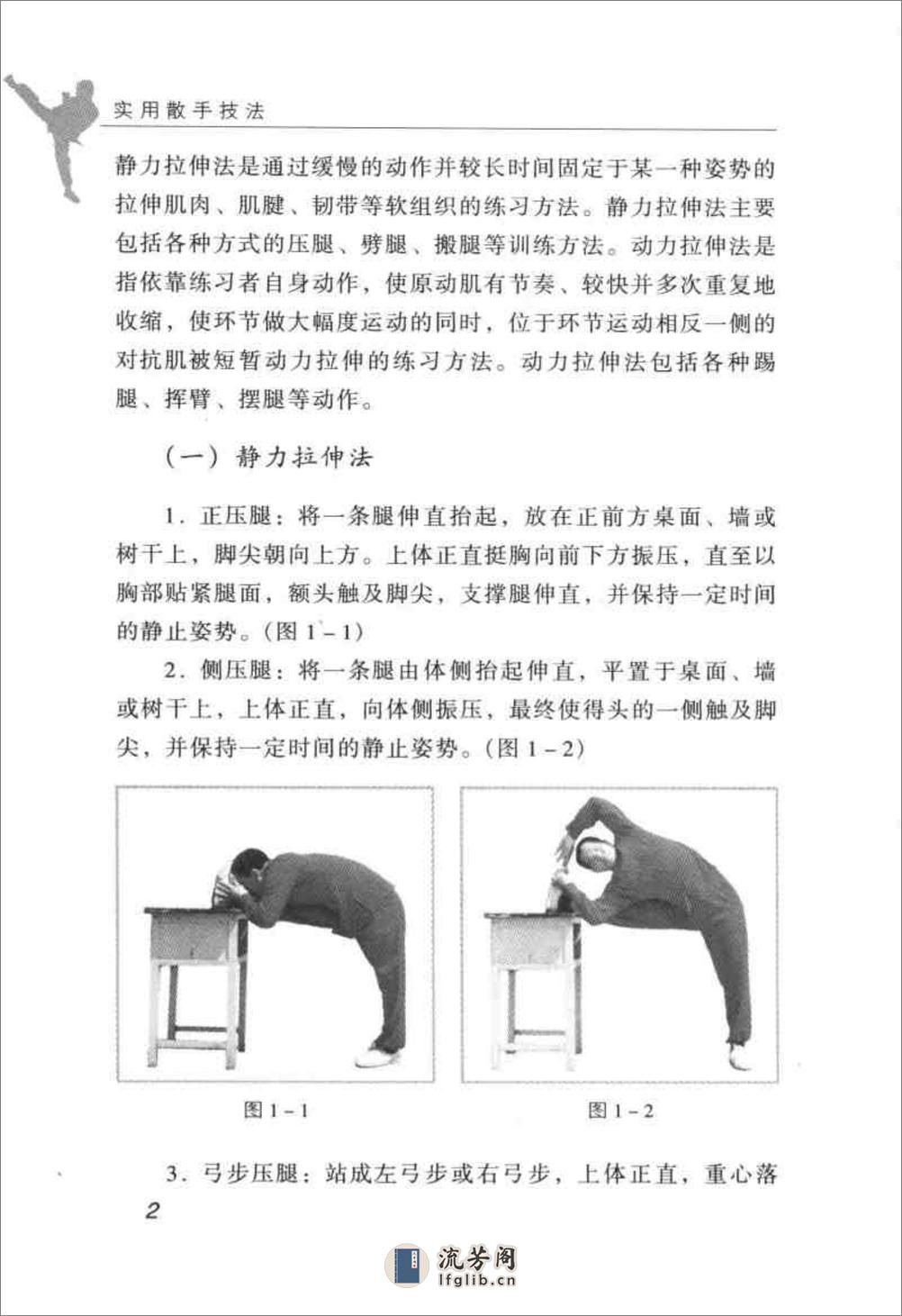 实用散手技法(王占京) - 第10页预览图