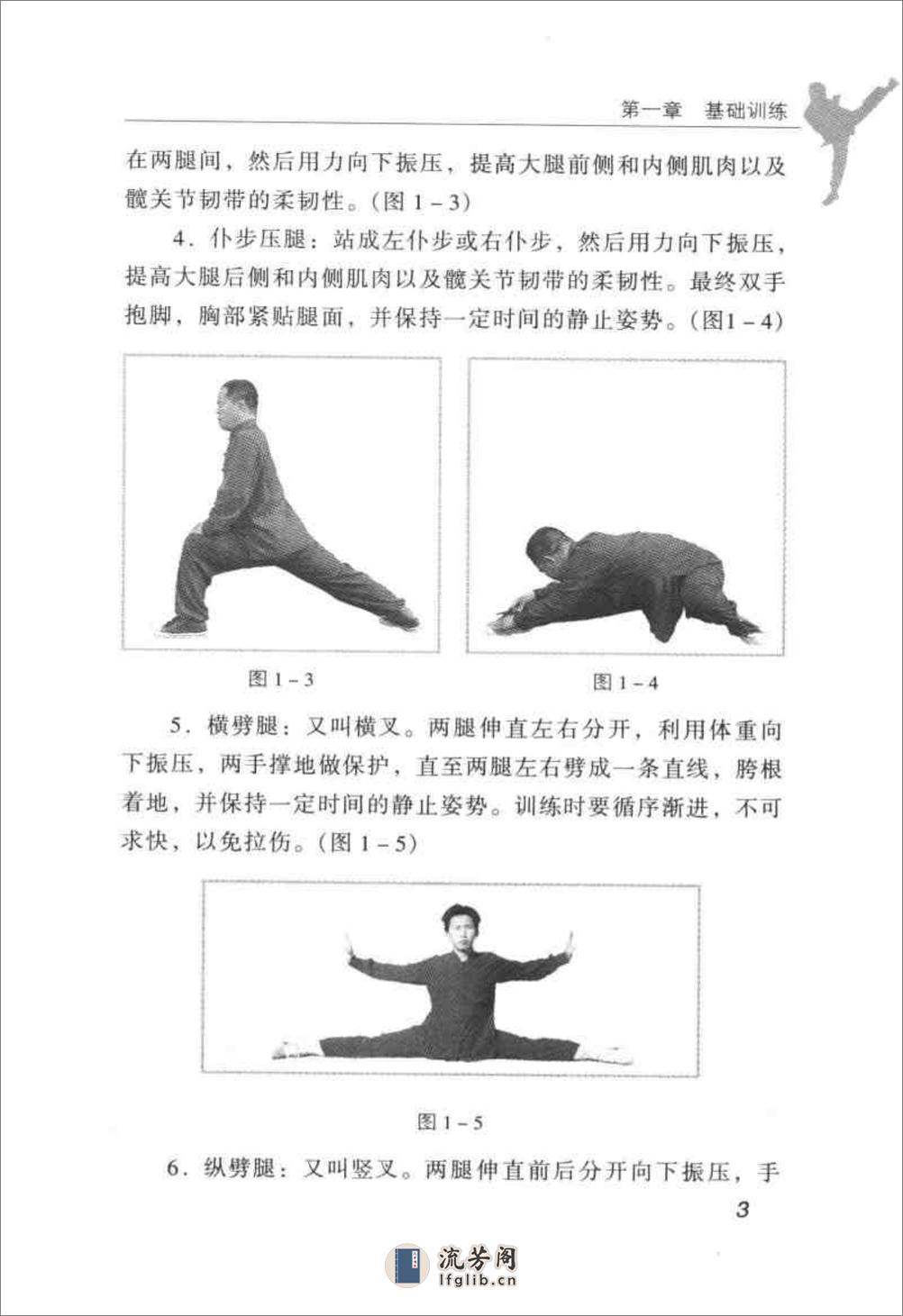 实用散手技法(王占京) - 第11页预览图