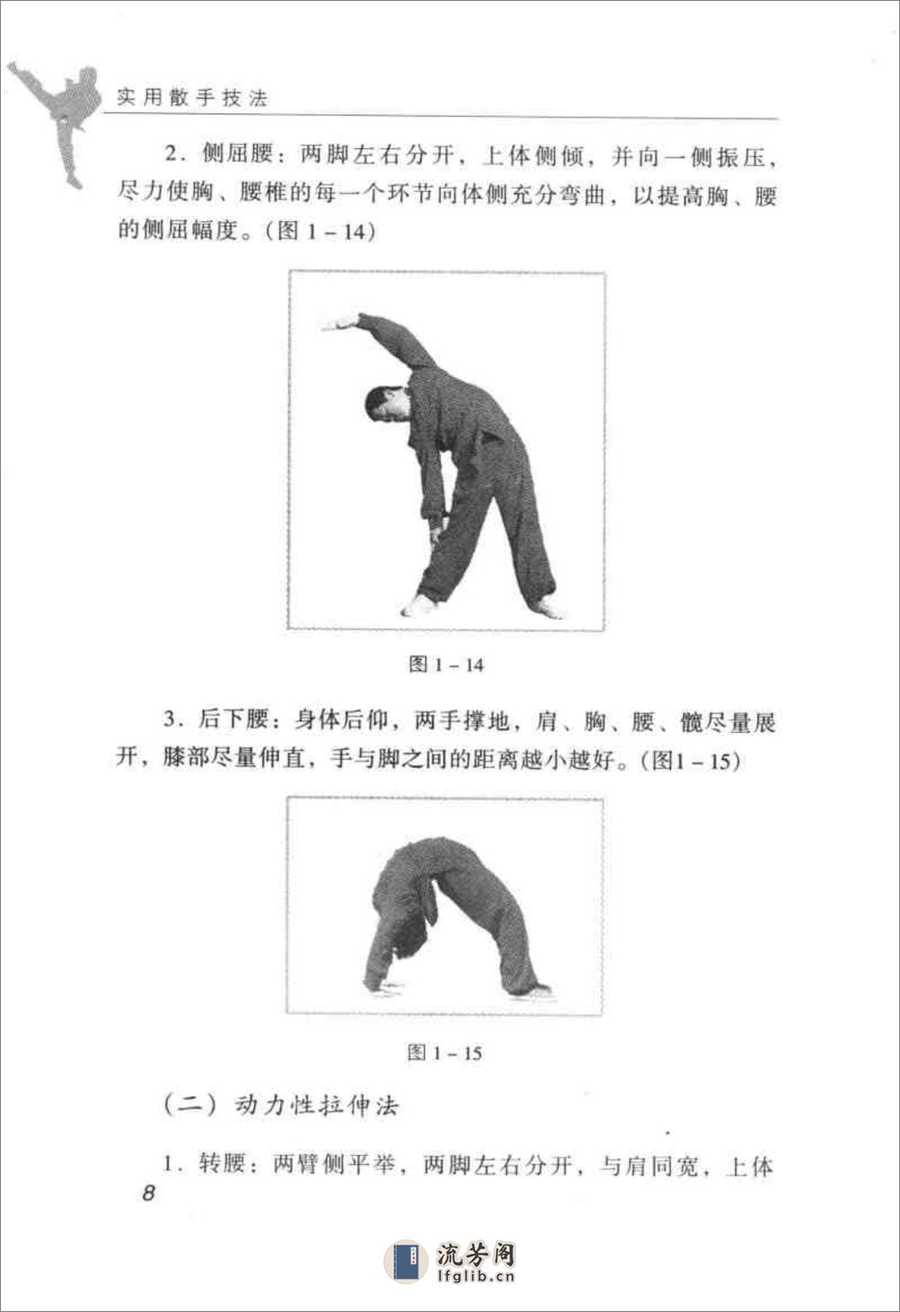 实用散手技法(王占京) - 第16页预览图