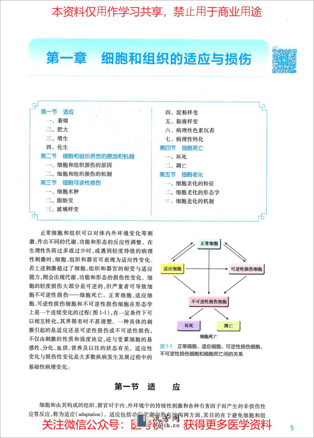 《病理学》人卫第9版教材--高清彩色 - 第17页预览图