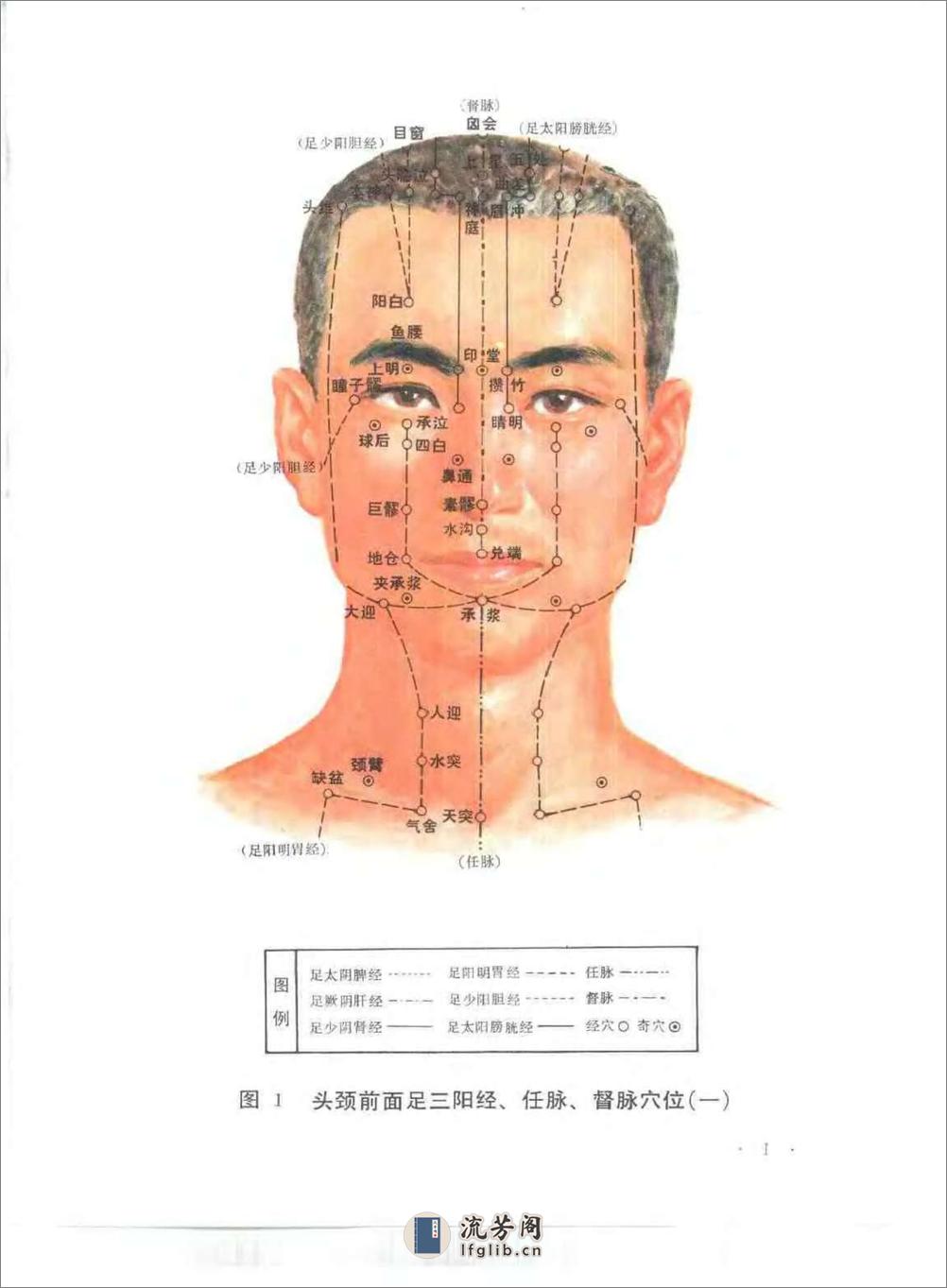 经穴断面解剖图解（头颈、胸部） - 第17页预览图