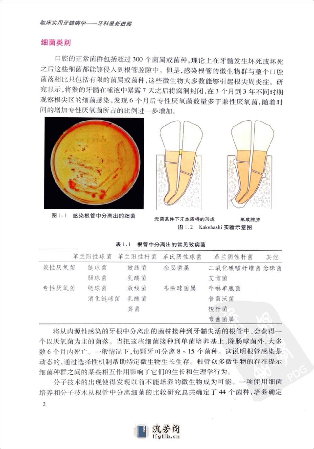 临床实用牙髓病学++牙科最新进展_12773659_... - 第10页预览图