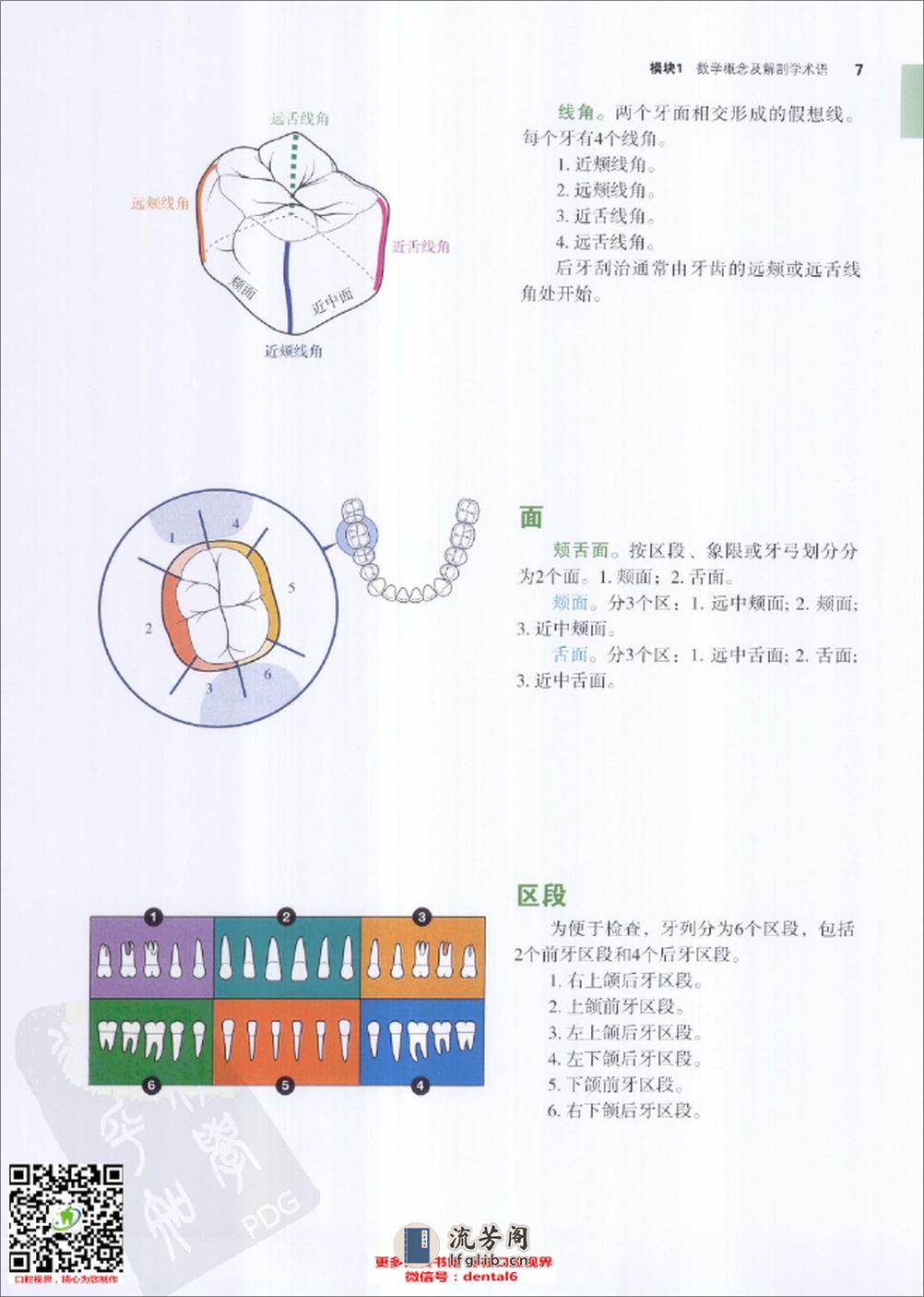 牙周刮治基础与高级根面刮治++（上册）++第6版 - 第15页预览图