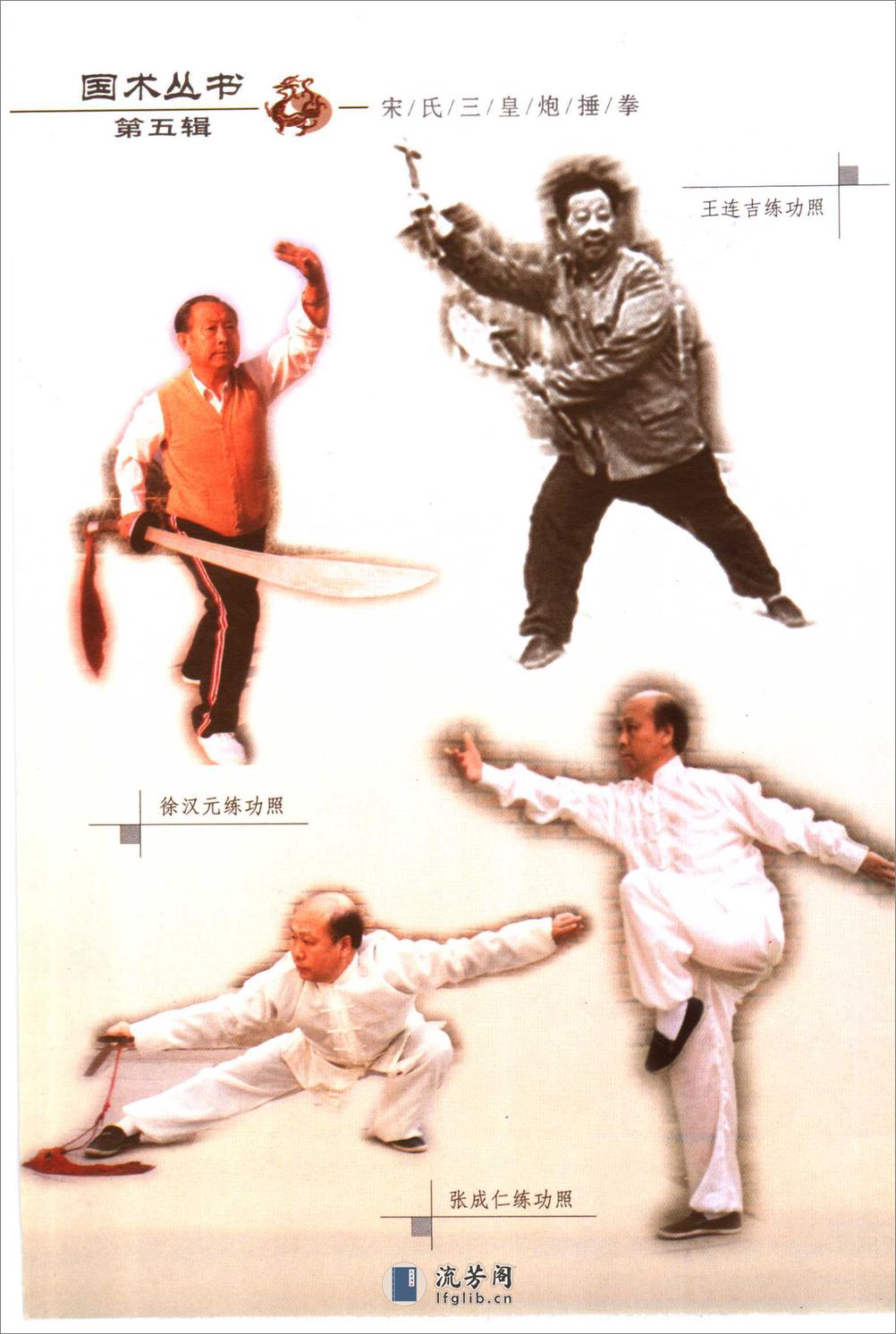 《宋氏三皇炮捶拳》张成仁 - 第6页预览图