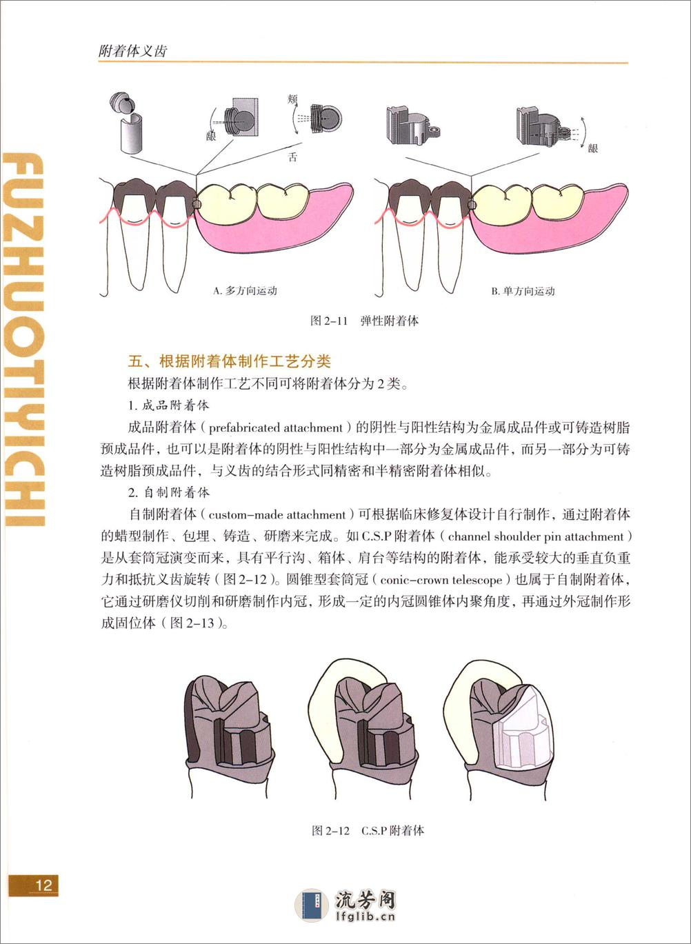 附着体义齿 - 第20页预览图