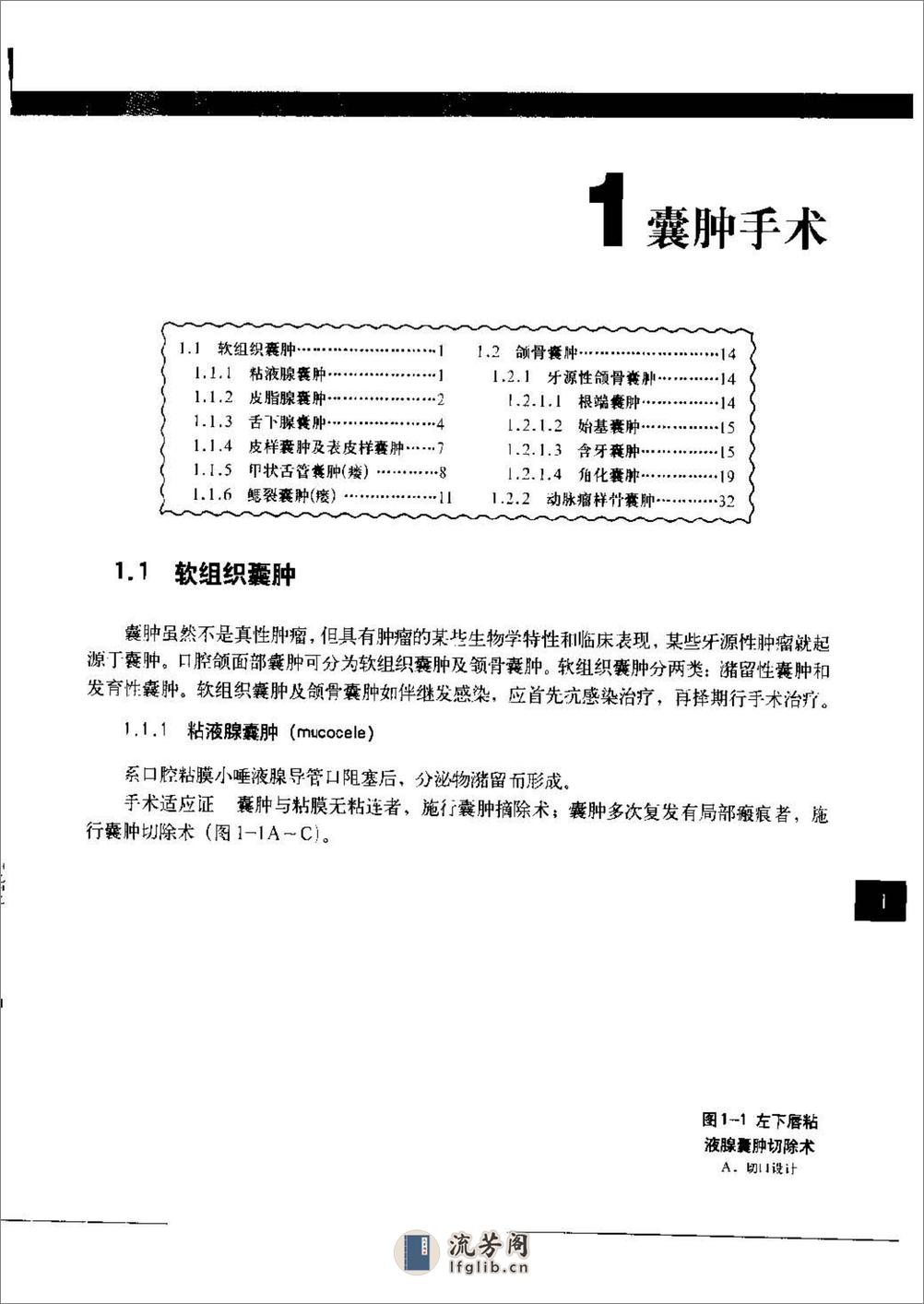 口腔颌面外科肿瘤图谱 - 第8页预览图