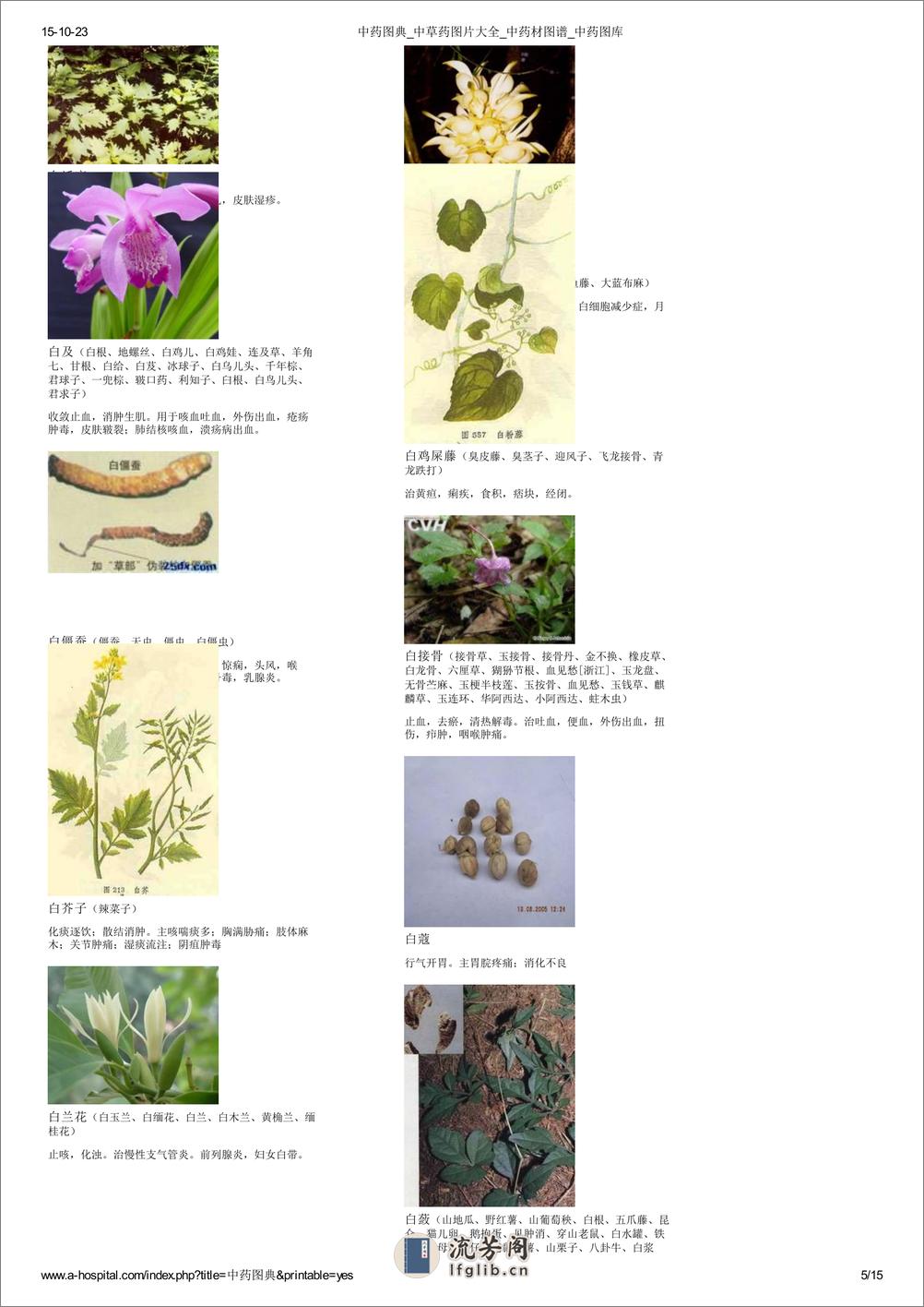 中草药图片大全 - 第5页预览图