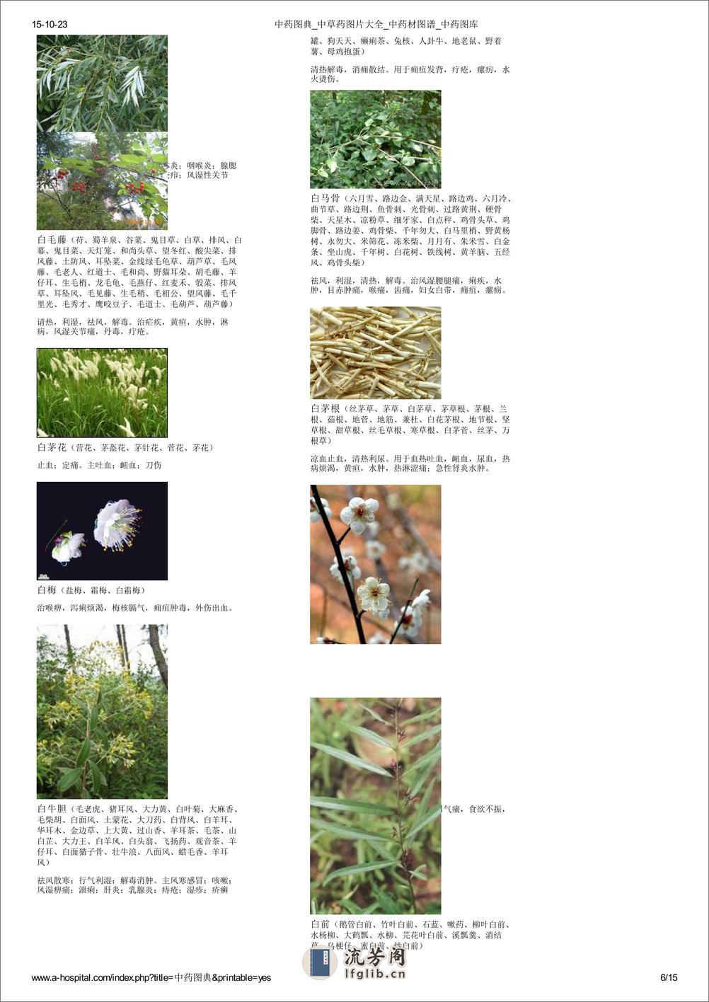 中草药图片大全 - 第6页预览图