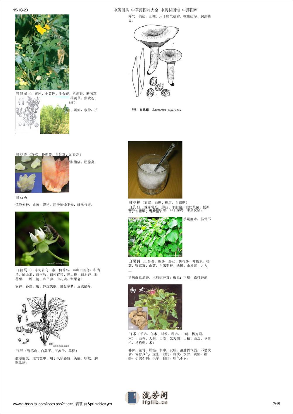 中草药图片大全 - 第7页预览图