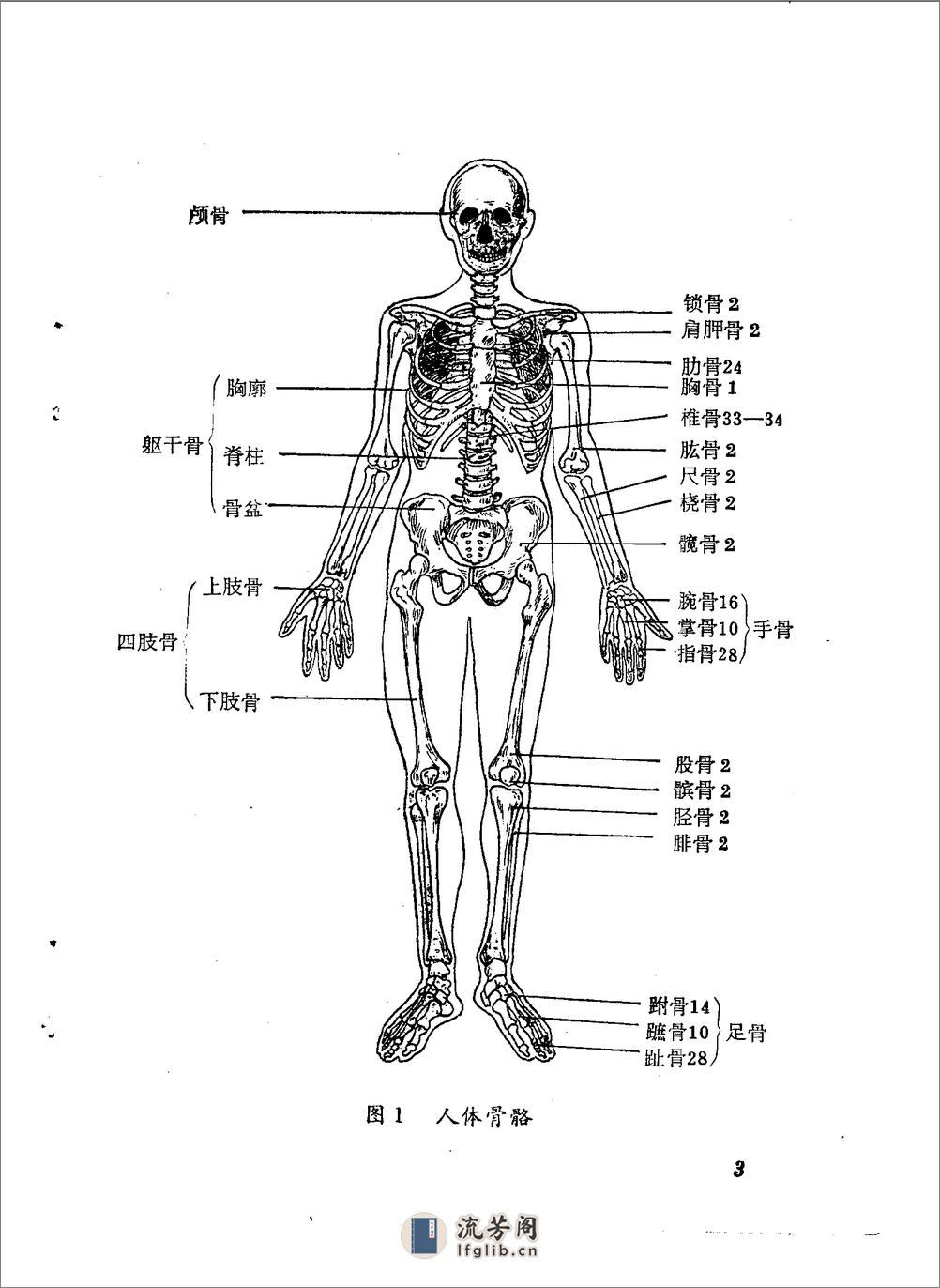 林如高正骨经验 - 第7页预览图