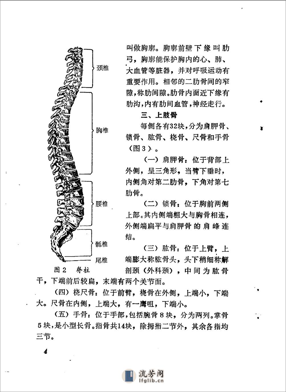 林如高正骨经验 - 第8页预览图