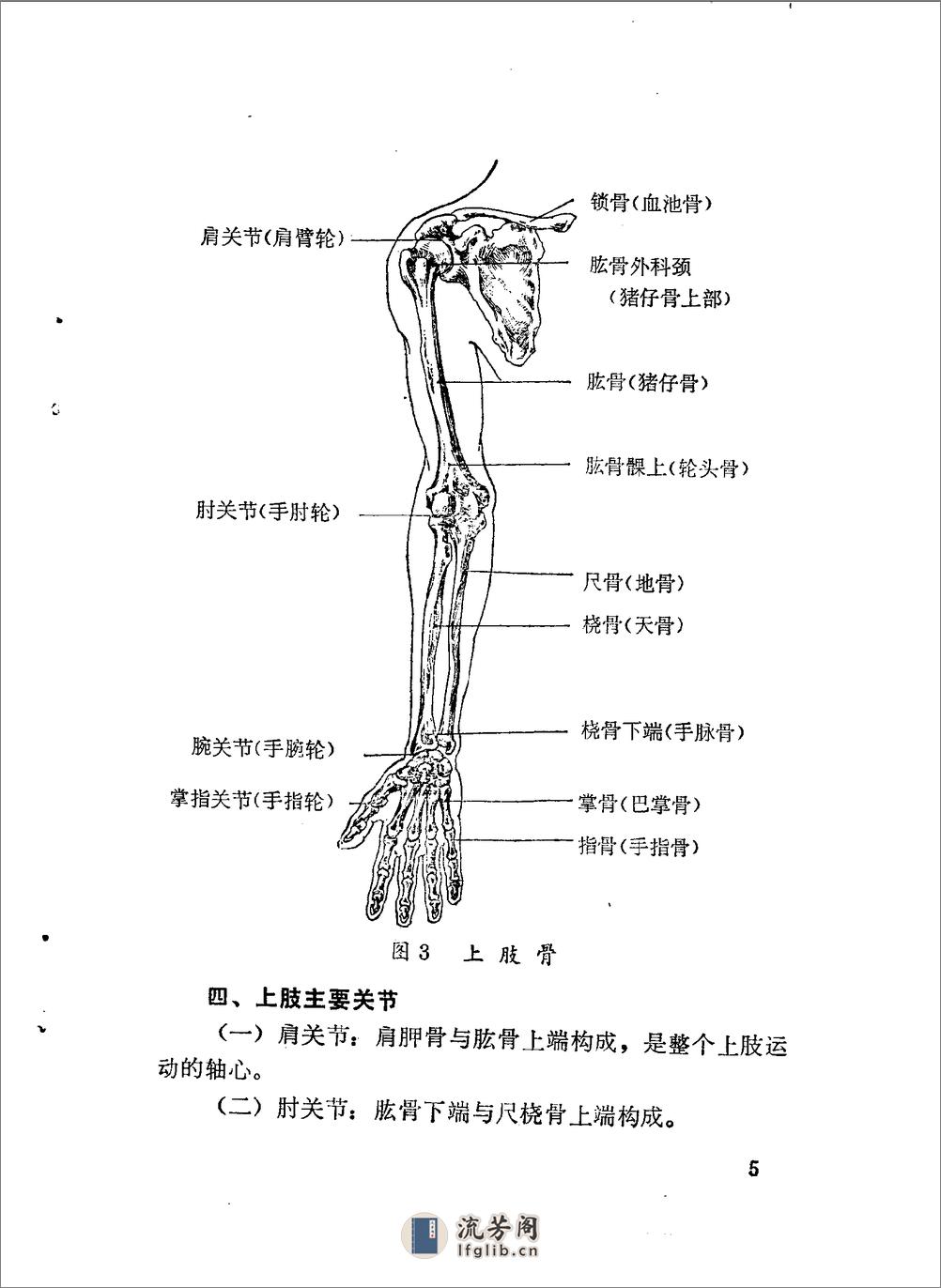 林如高正骨经验 - 第9页预览图