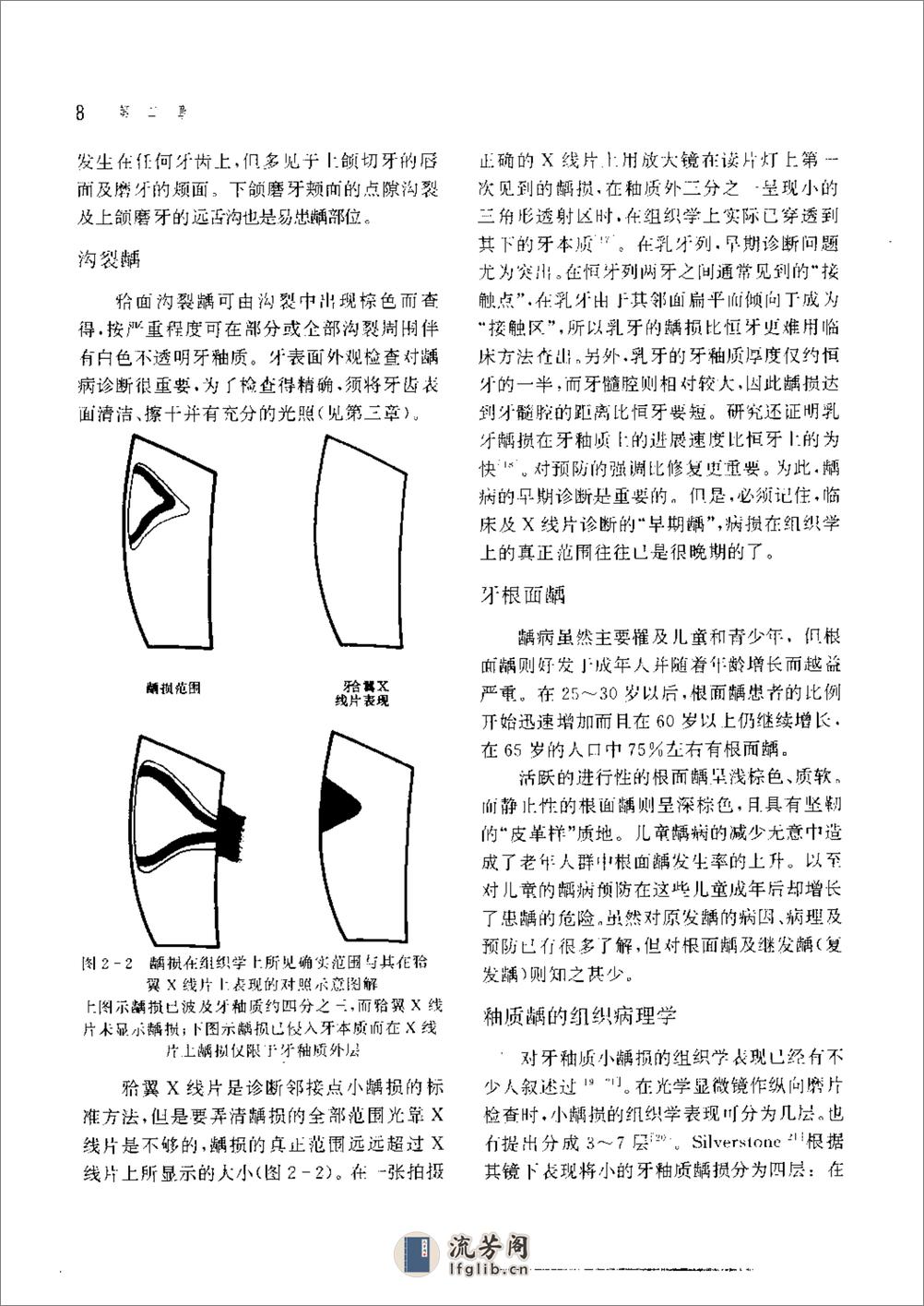 新概念牙体修复学 - 第17页预览图