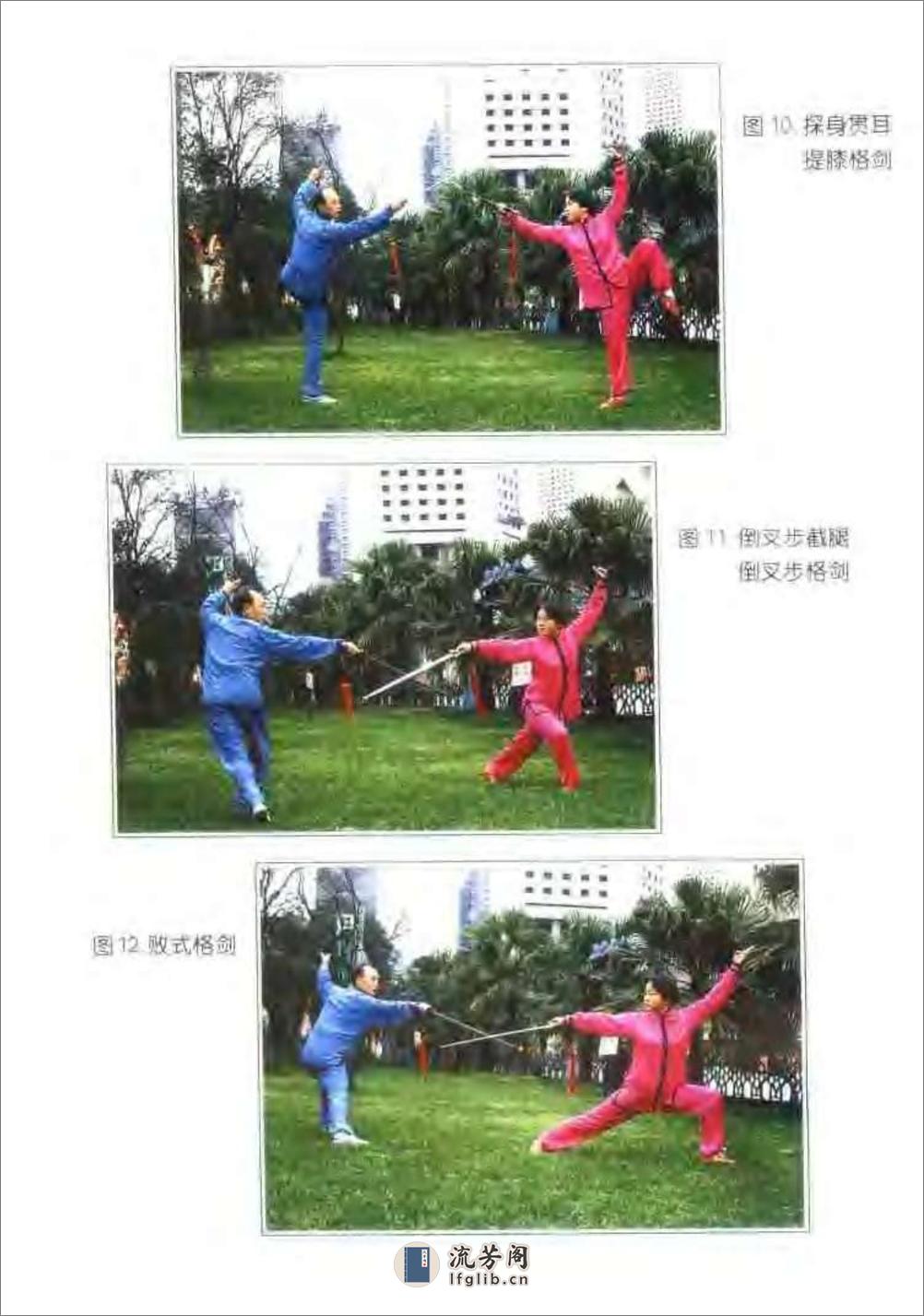 《三才剑法精解》陈龙骧、李敏弟 - 第5页预览图