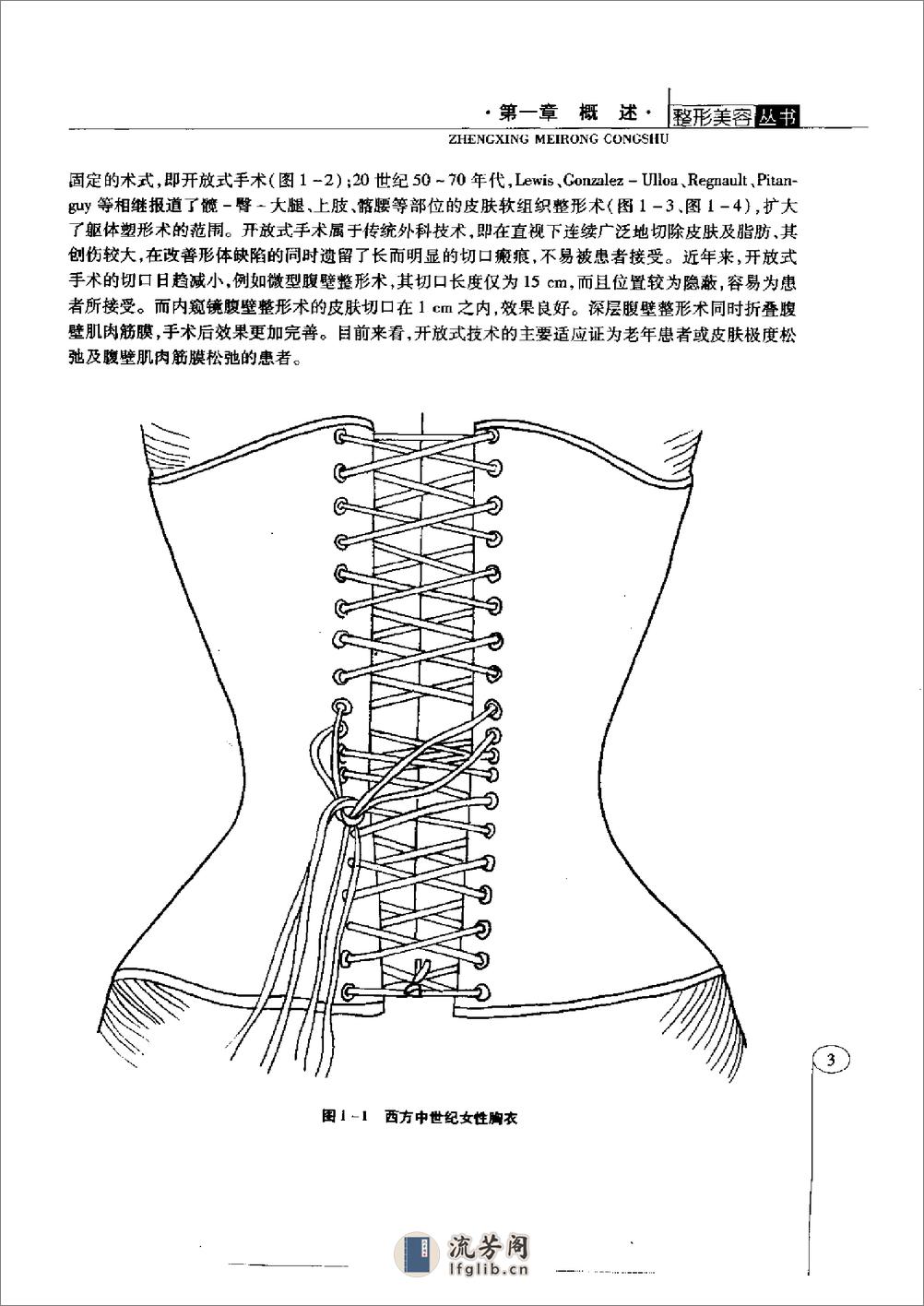 临床脂肪抽吸术 - 第13页预览图