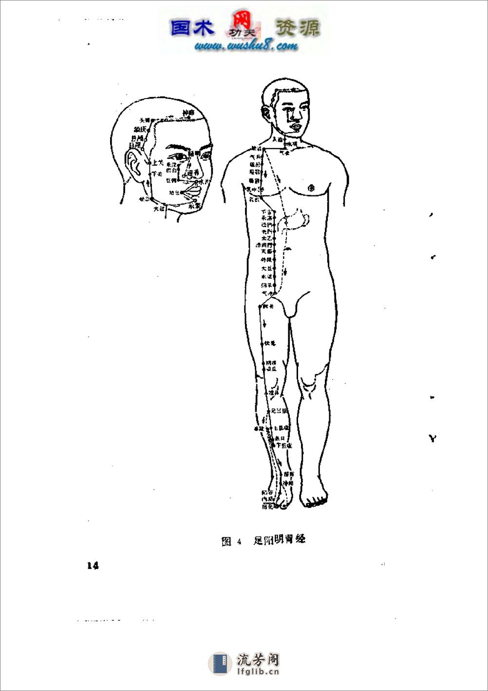 [峨嵋天罡指穴法].傅伟中 - 第19页预览图