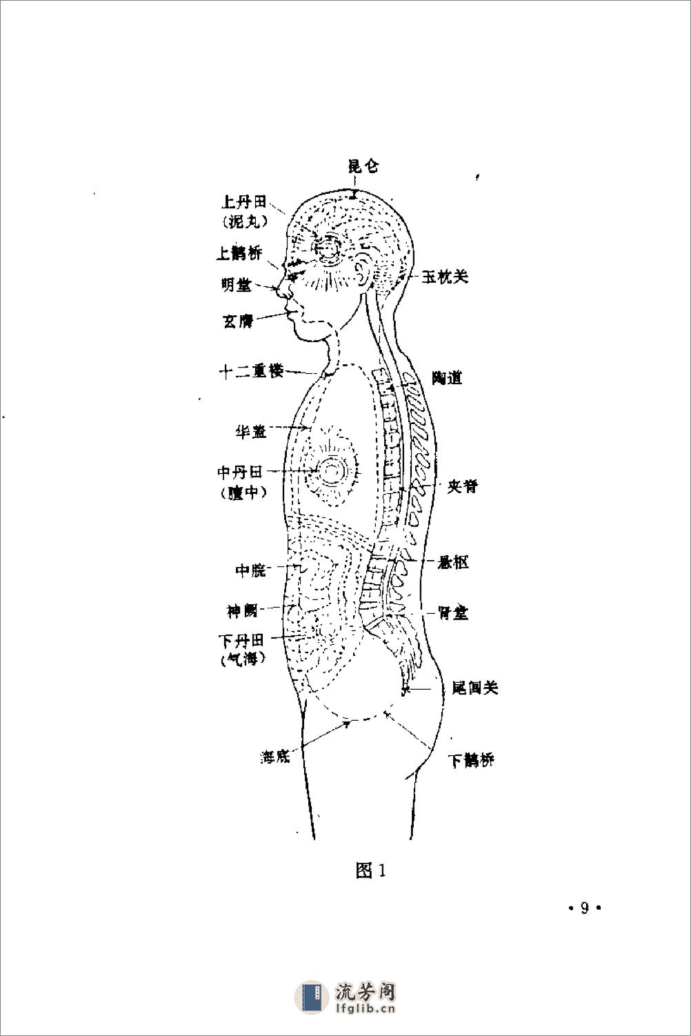 [现代流行养生健脑功法].陈登山(1) - 第20页预览图