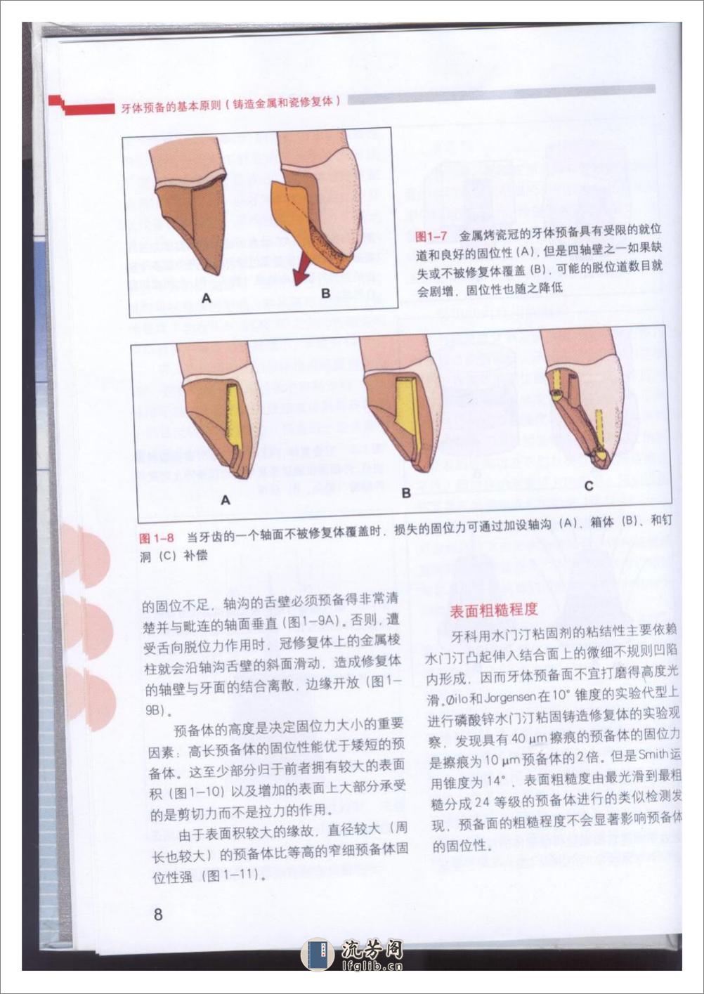 牙体预备的基本原则 - 第10页预览图