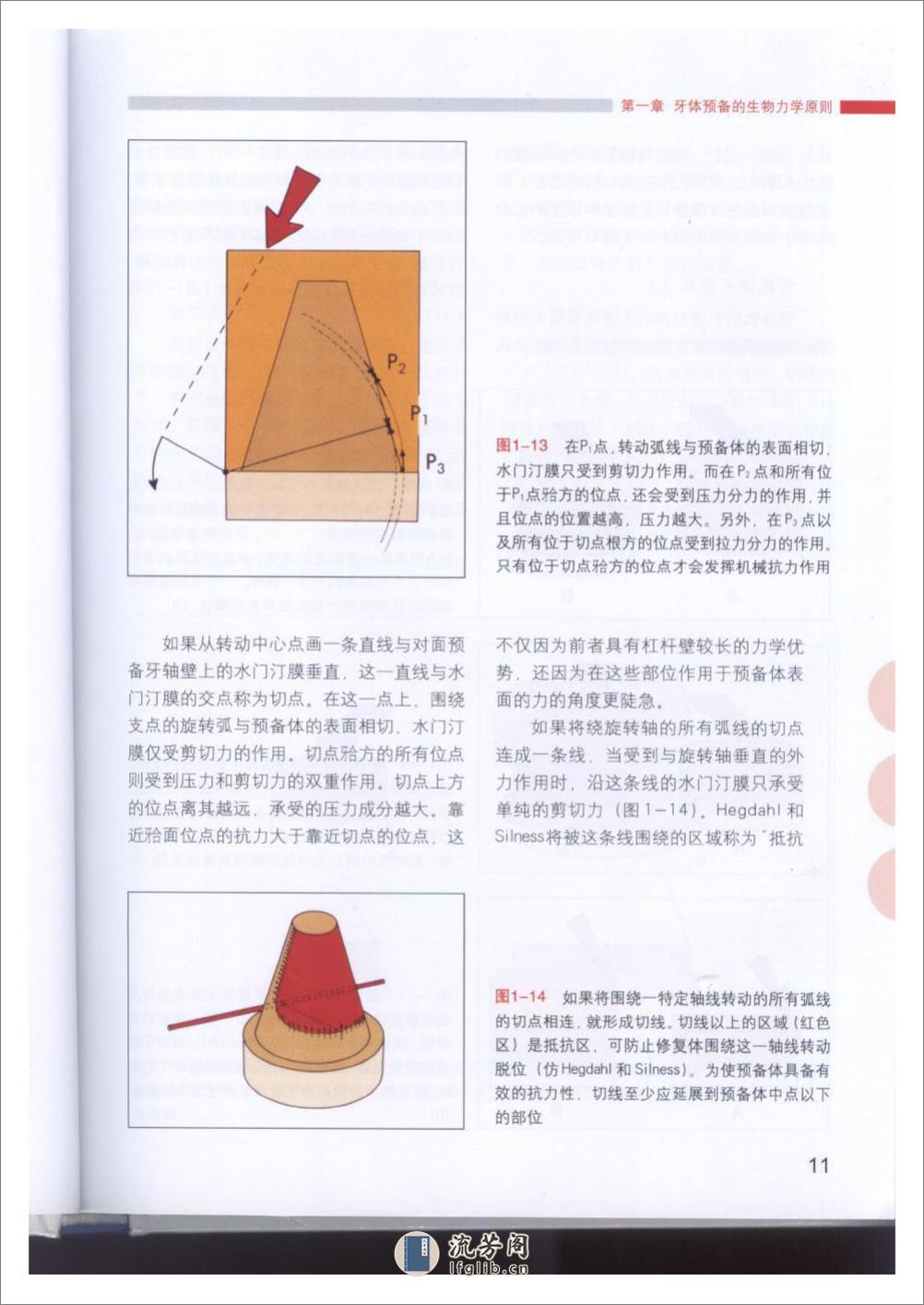 牙体预备的基本原则 - 第13页预览图