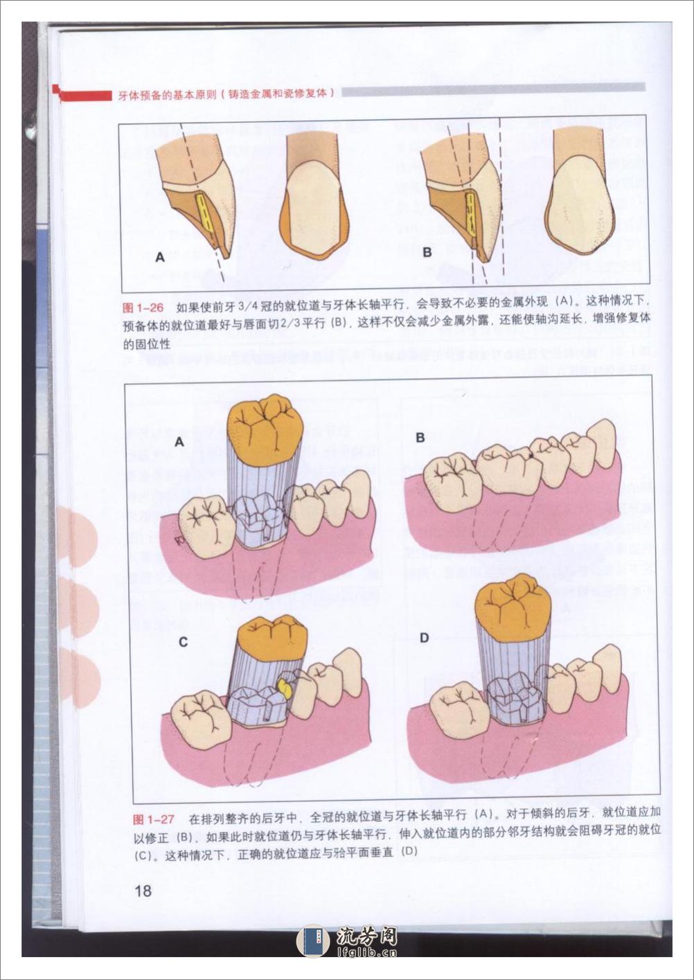 牙体预备的基本原则 - 第20页预览图