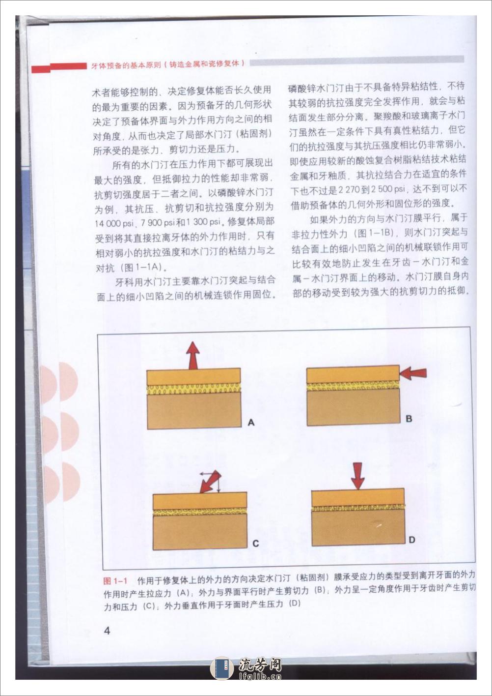 牙体预备的基本原则 - 第6页预览图