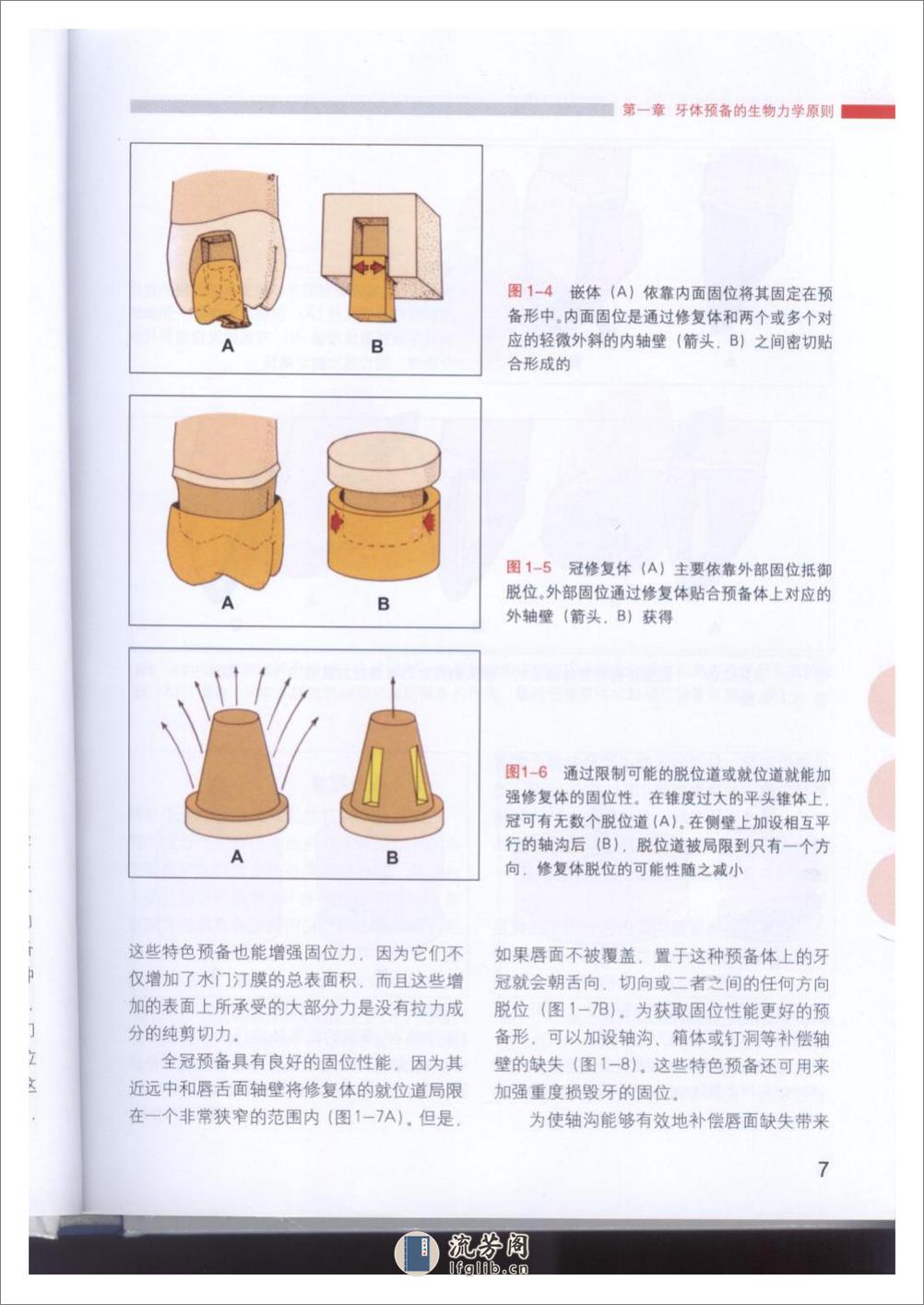 牙体预备的基本原则 - 第9页预览图