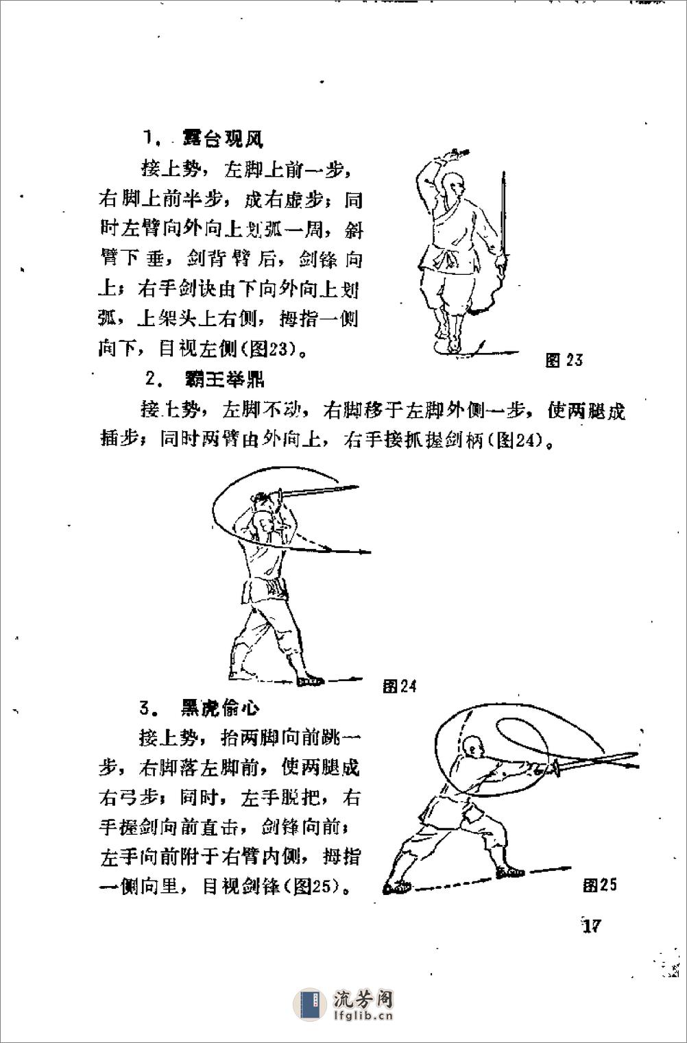 《少林剑法秘传》释德虔 - 第20页预览图
