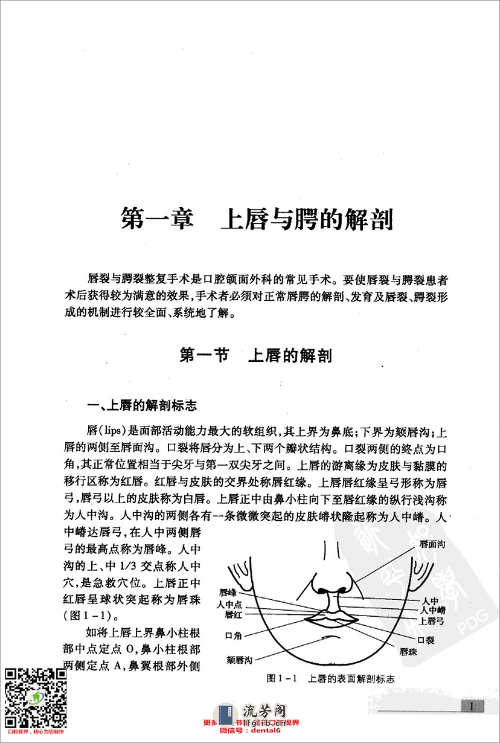 新编唇腭裂整复术 - 第15页预览图