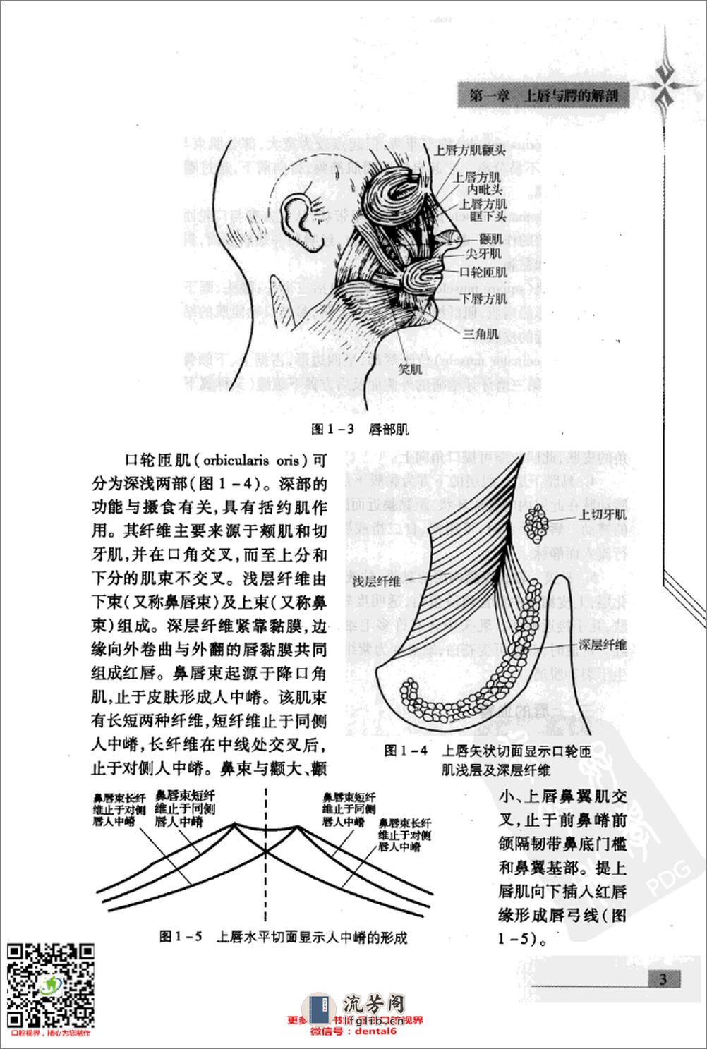 新编唇腭裂整复术 - 第17页预览图