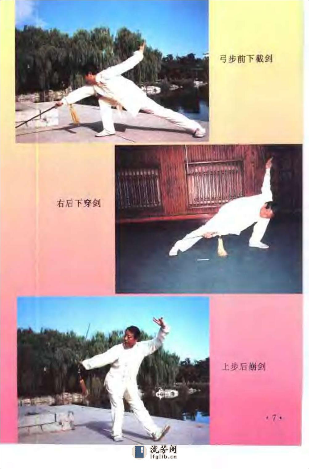 《峨嵋剑术》李士信、刘惠宁 - 第10页预览图