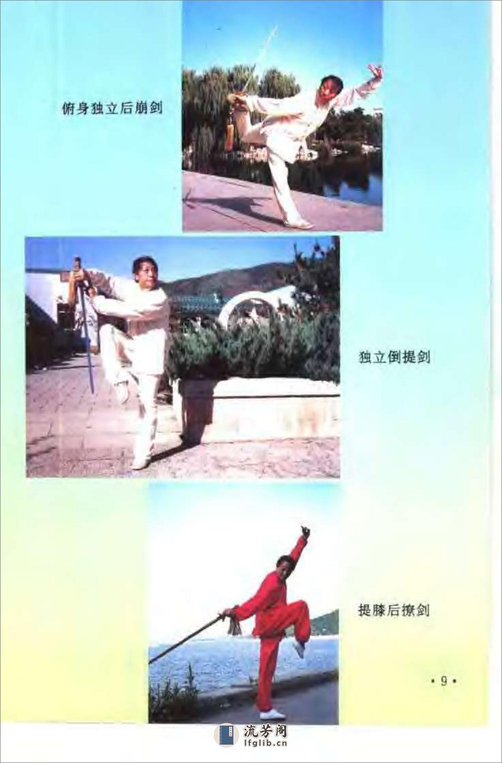 《峨嵋剑术》李士信、刘惠宁 - 第12页预览图