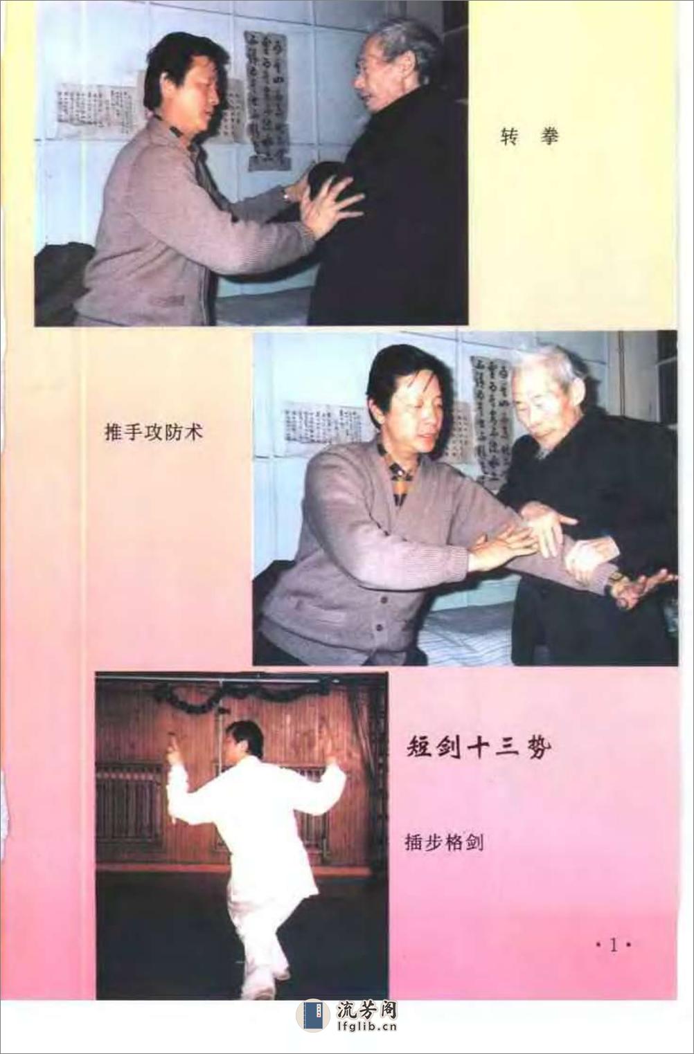 《峨嵋剑术》李士信、刘惠宁 - 第4页预览图