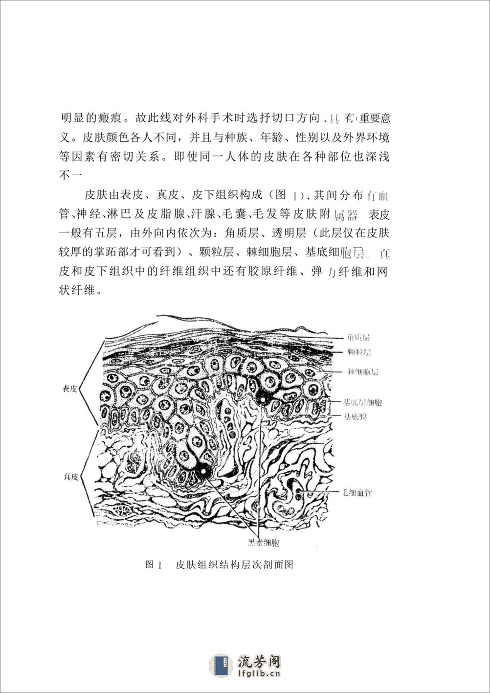 疤痕学及皮肤 - 第2页预览图