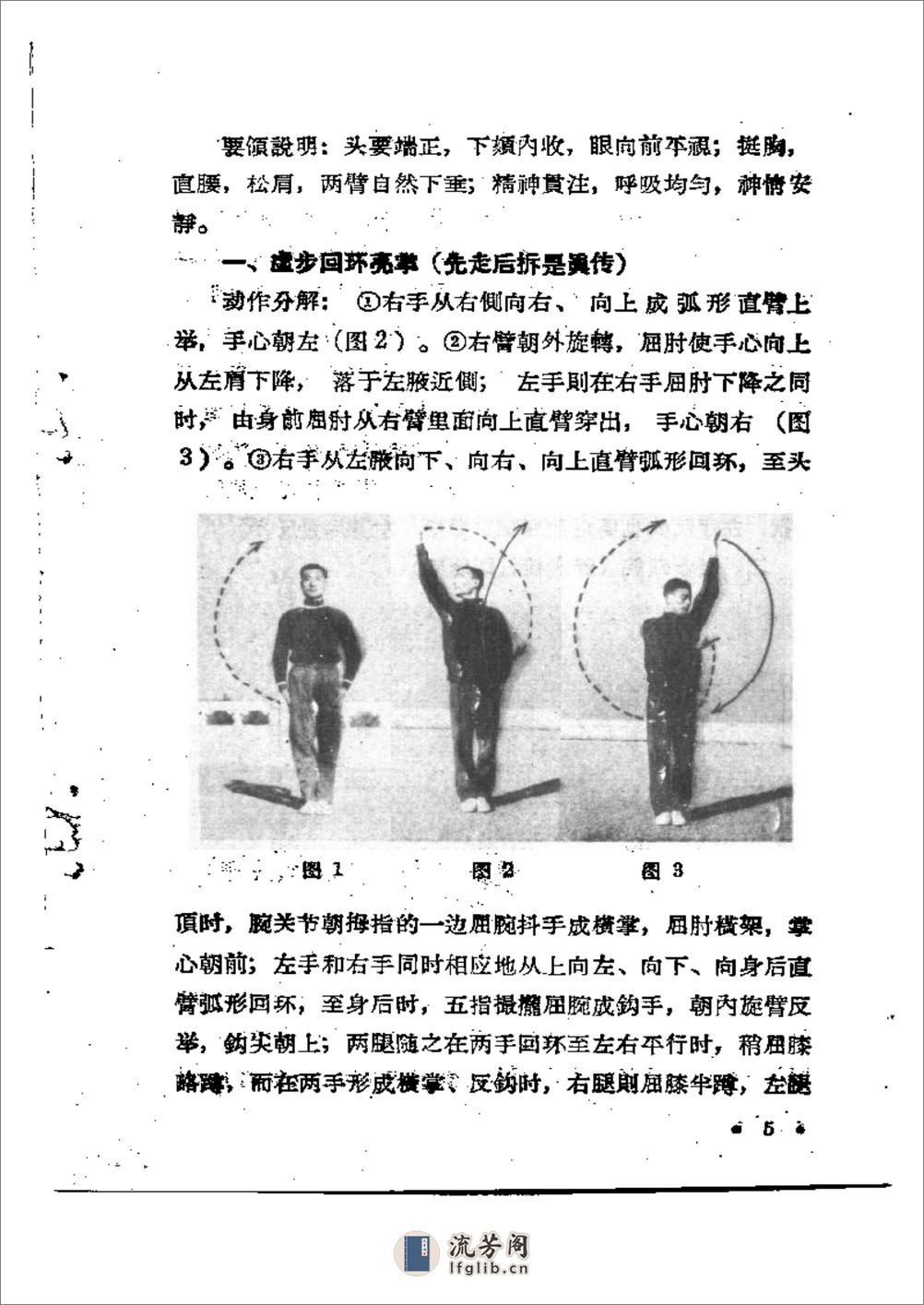 《二路华拳》蔡龙云 - 第11页预览图
