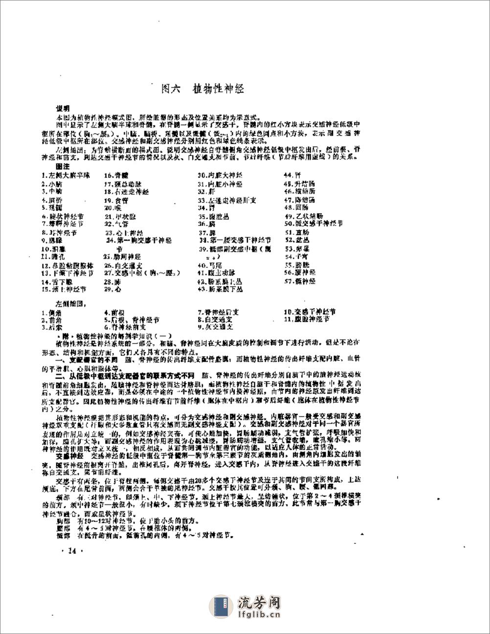 针灸解剖学图谱 - 第16页预览图