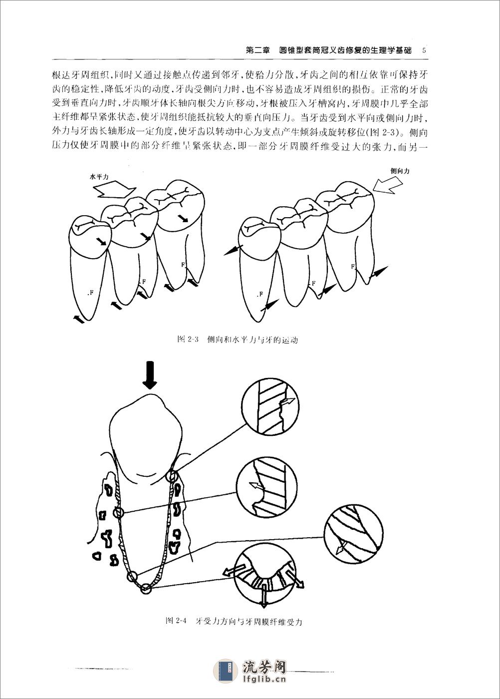 圆锥型套筒冠义齿_10855179 - 第12页预览图