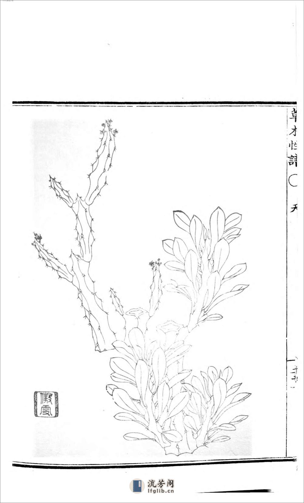 草木性谱 - 第15页预览图