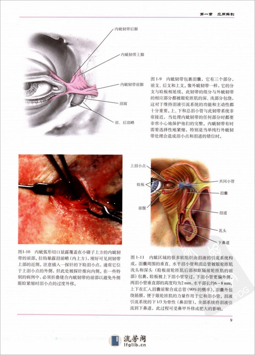 眼睑及眼周美容外科手术图谱_李健宁2006译... - 第17页预览图