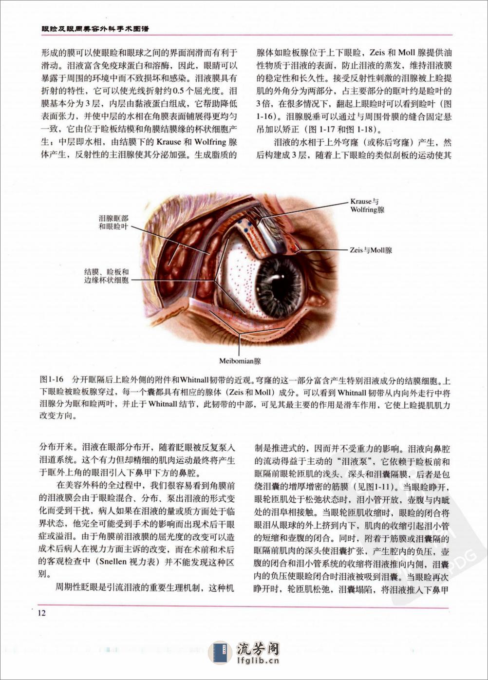 眼睑及眼周美容外科手术图谱_李健宁2006译... - 第20页预览图