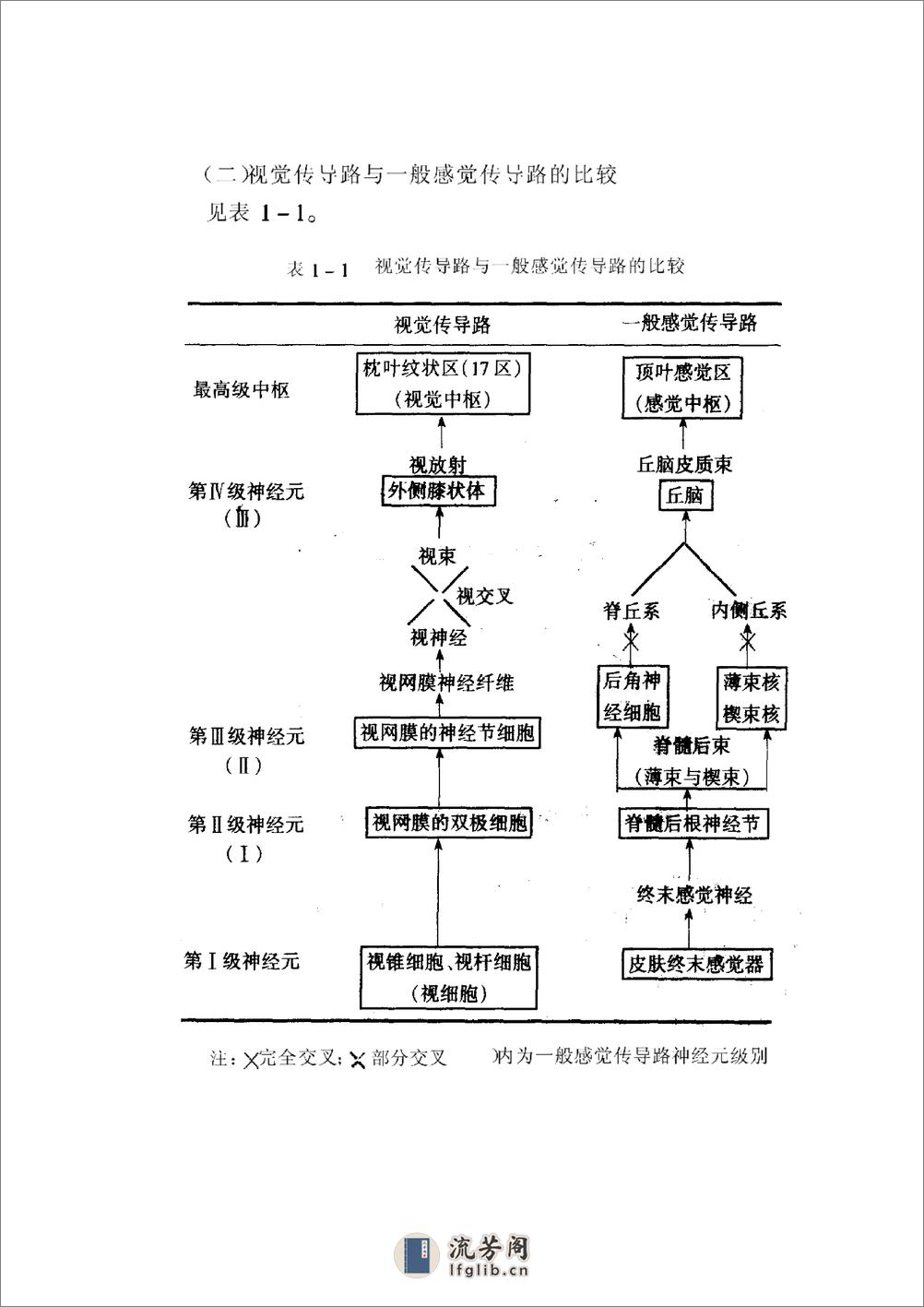 实用周围神经病学——王江桥等 - 第13页预览图