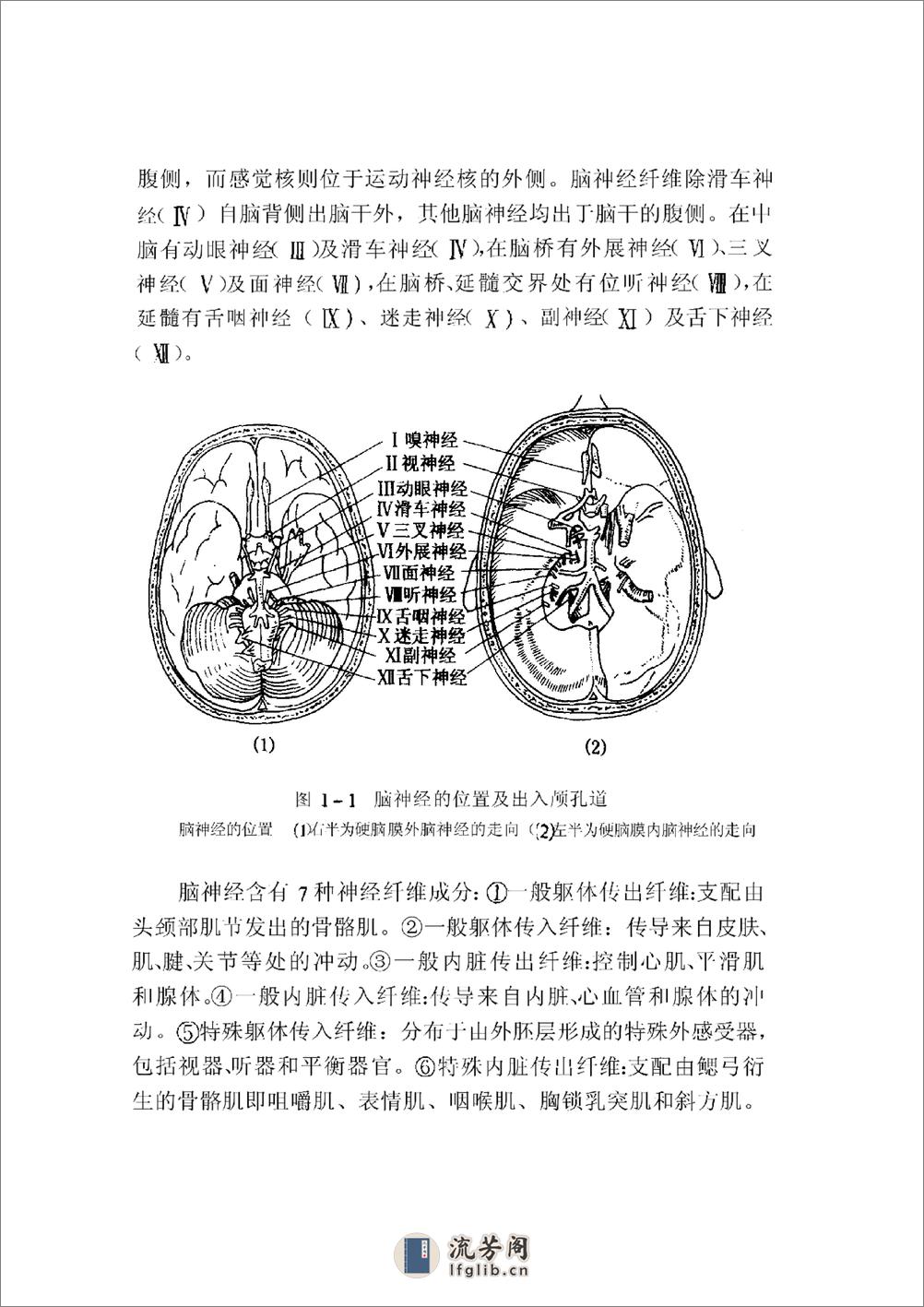 实用周围神经病学——王江桥等 - 第6页预览图