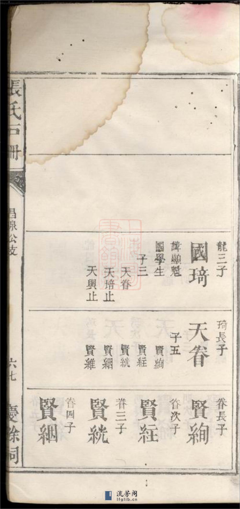 张氏庆馀祠户册：不分卷 - 第19页预览图