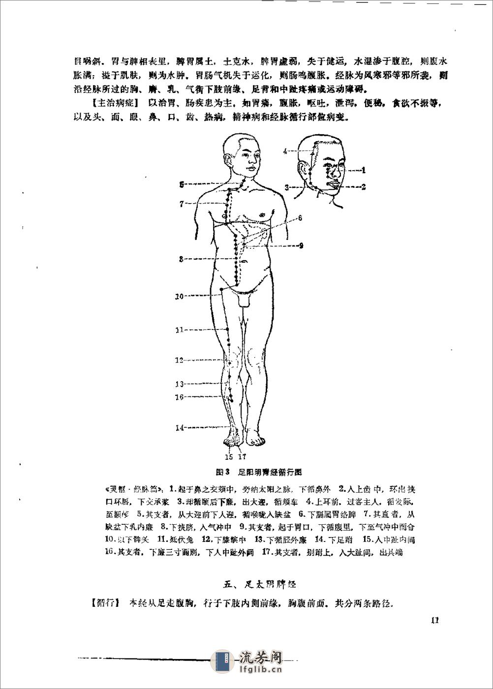 针灸学基础 靳瑞 - 第20页预览图