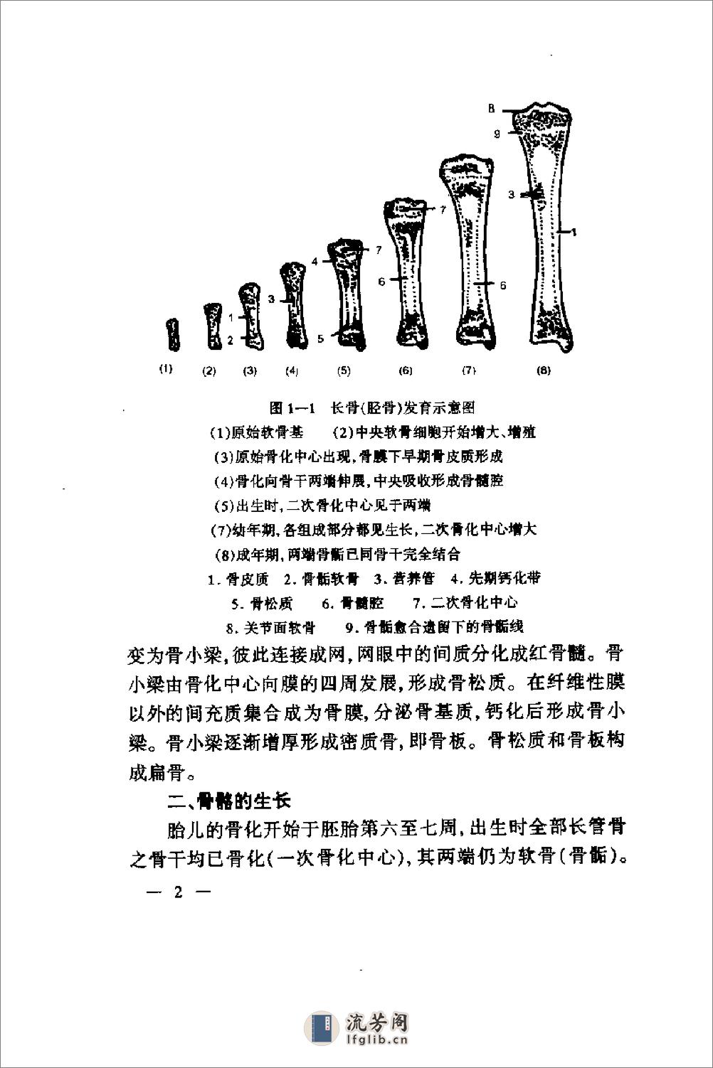 种骨关节病的针灸治疗（肖永俭） - 第10页预览图