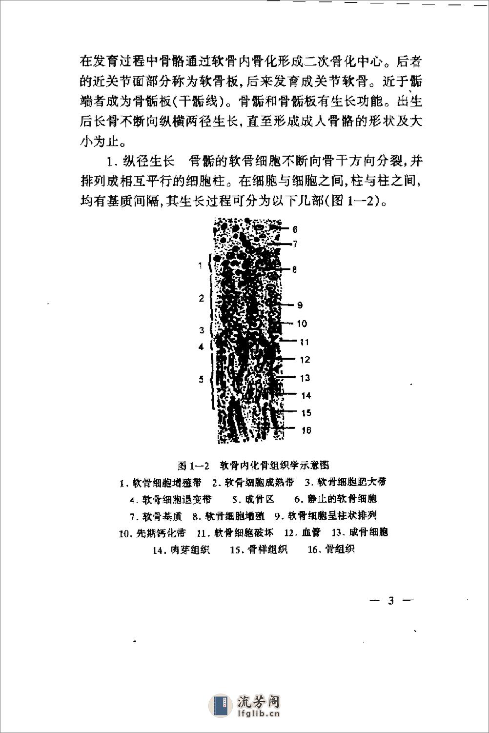 种骨关节病的针灸治疗（肖永俭） - 第11页预览图