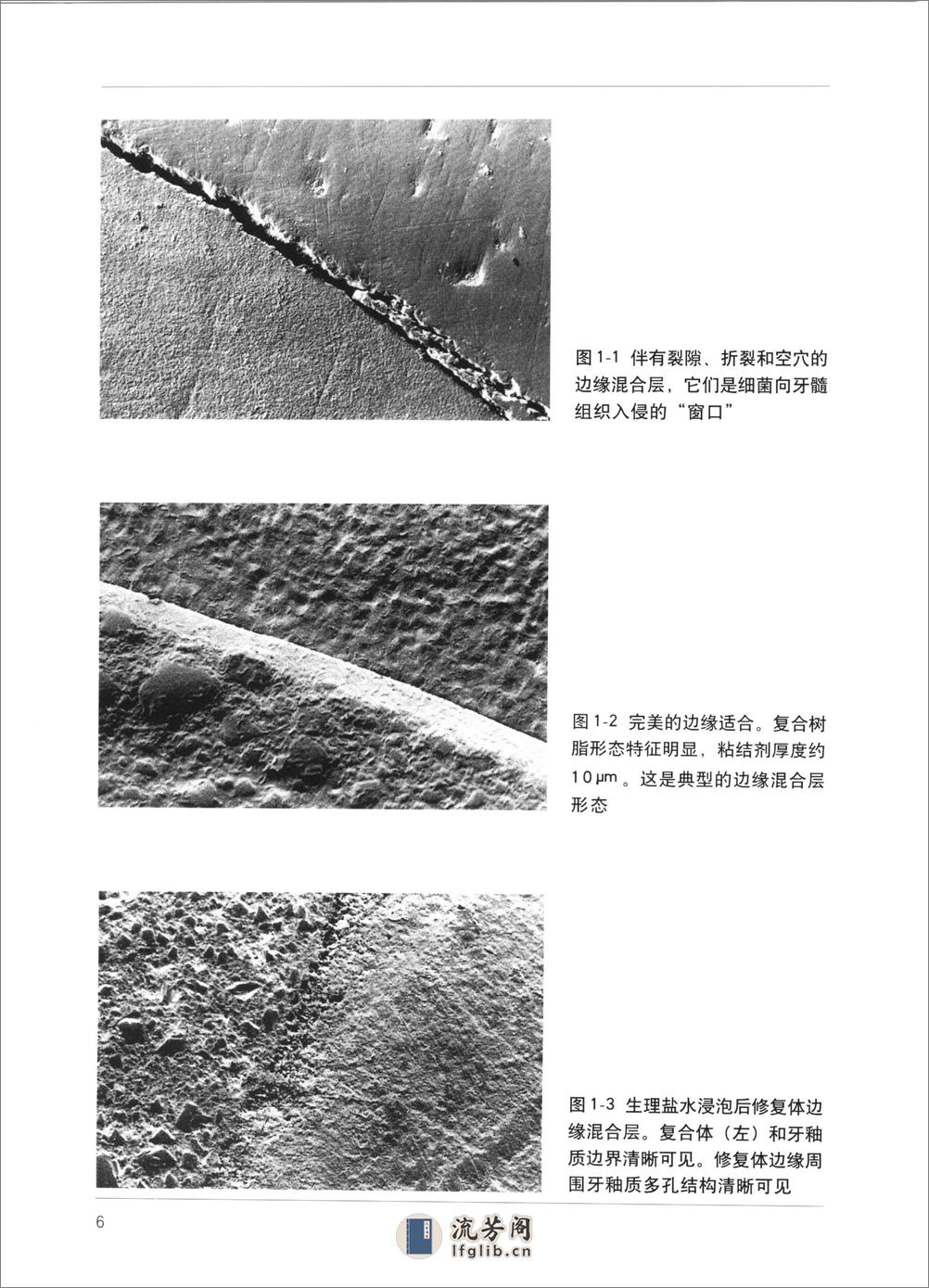 牙体修复学新进展++第一卷++现代临床操作 - 第19页预览图