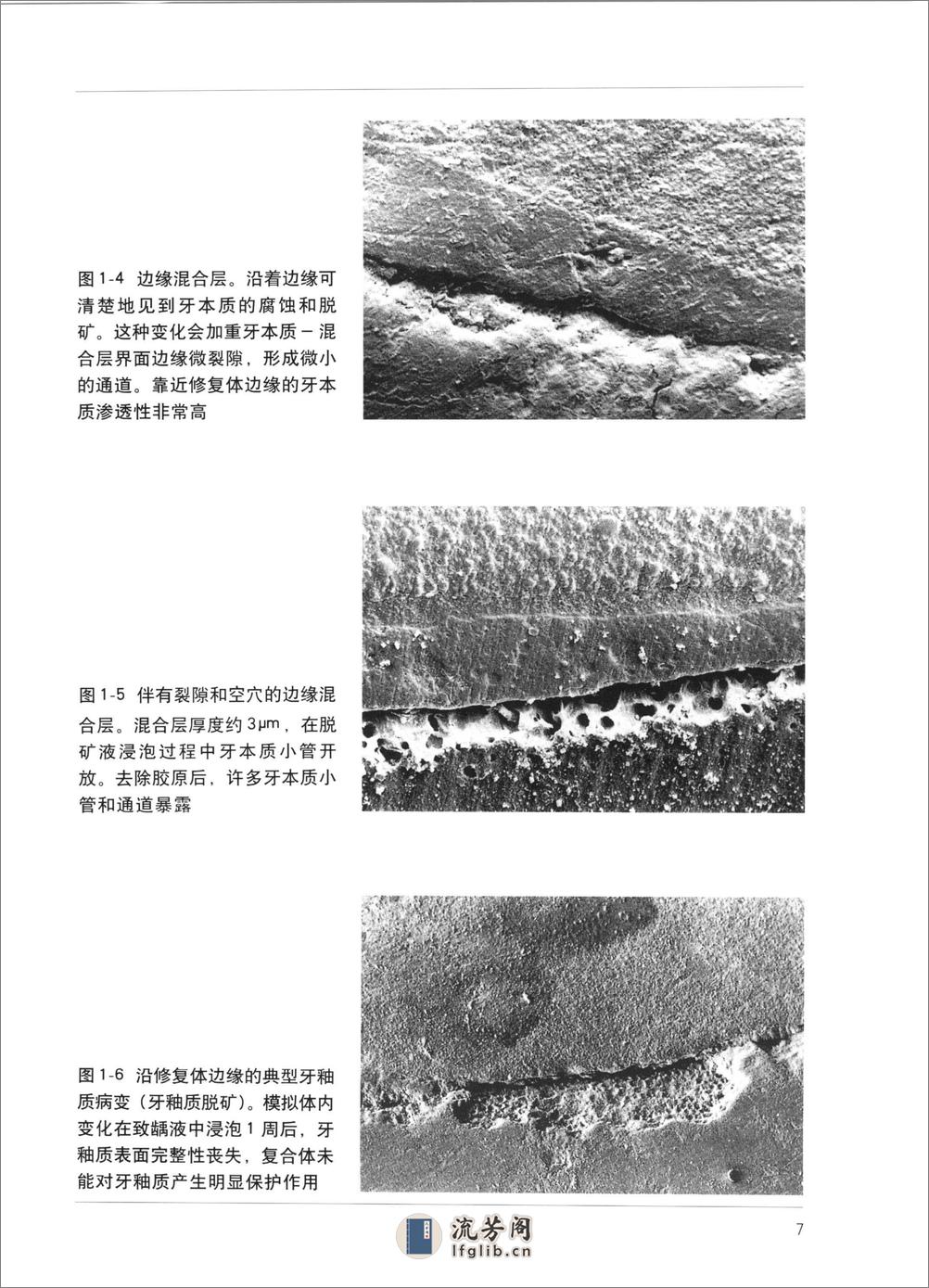 牙体修复学新进展++第一卷++现代临床操作 - 第20页预览图