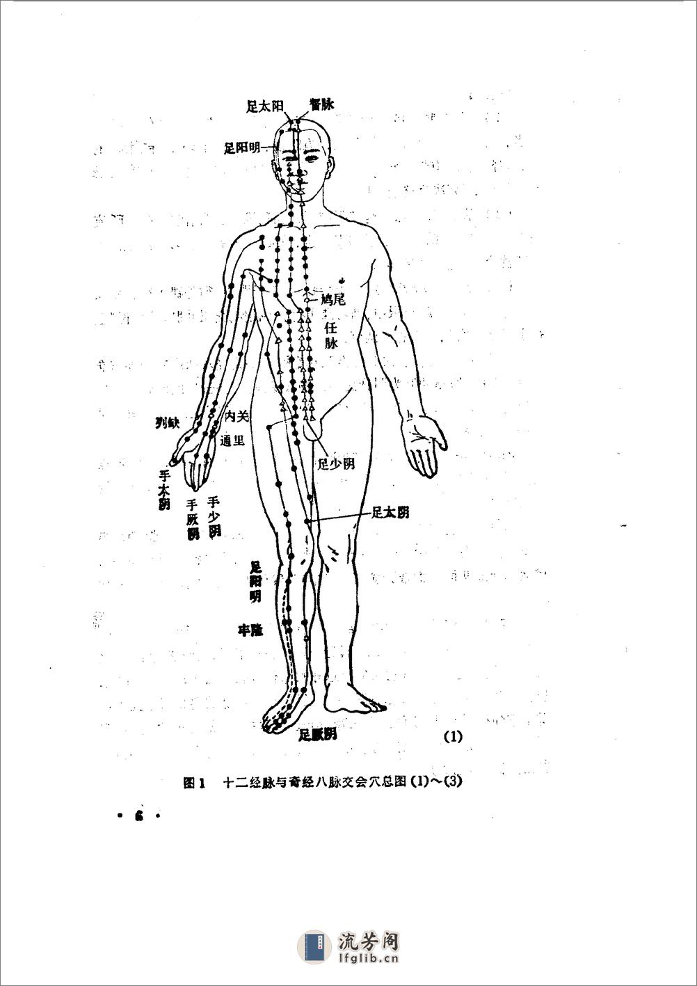 （明）李时珍 撰辑；王罗珍，李鼎 校注：《奇经八脉考》校注（上海科学技术出版社，1990） - 第15页预览图