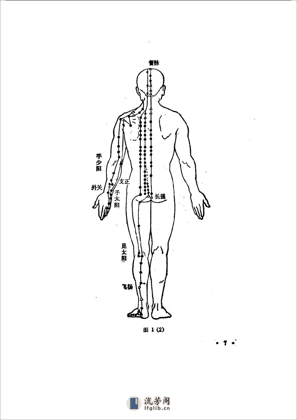 （明）李时珍 撰辑；王罗珍，李鼎 校注：《奇经八脉考》校注（上海科学技术出版社，1990） - 第16页预览图