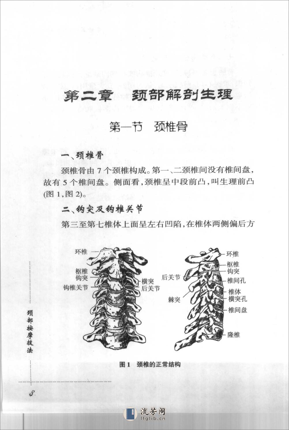 颈部按摩技法 - 第18页预览图